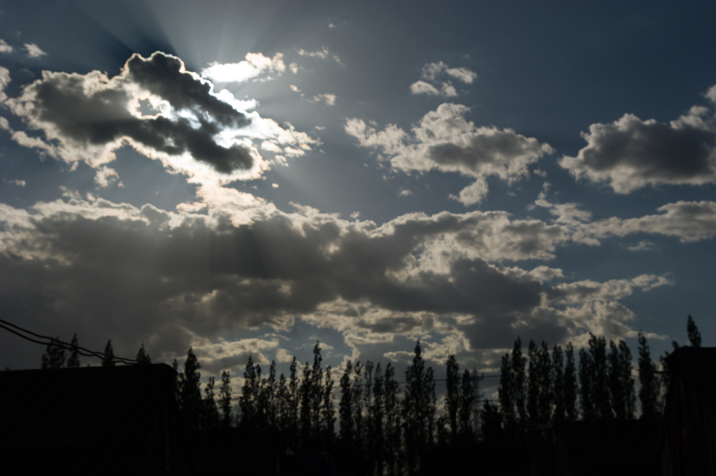 DSC03435.jpg