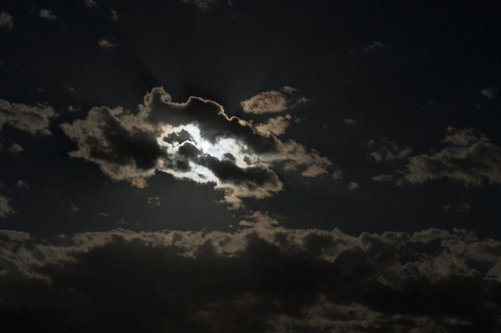 DSC03446.jpg