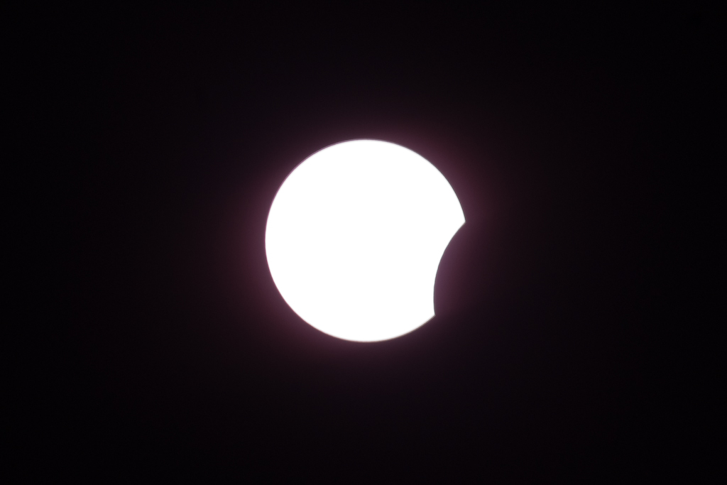 DSC03621.jpg