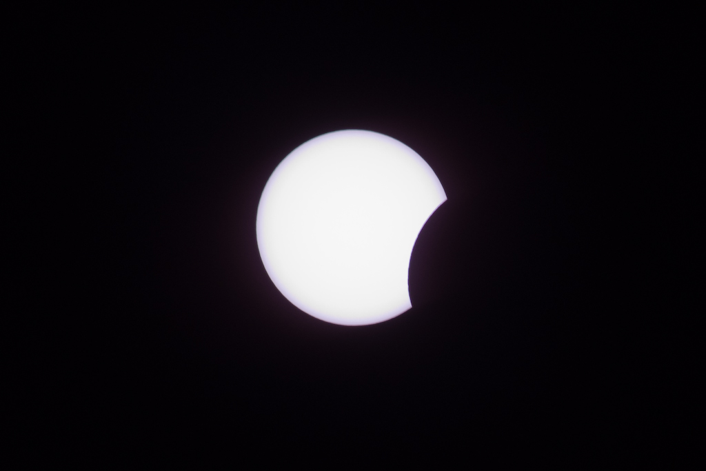 DSC03624.jpg