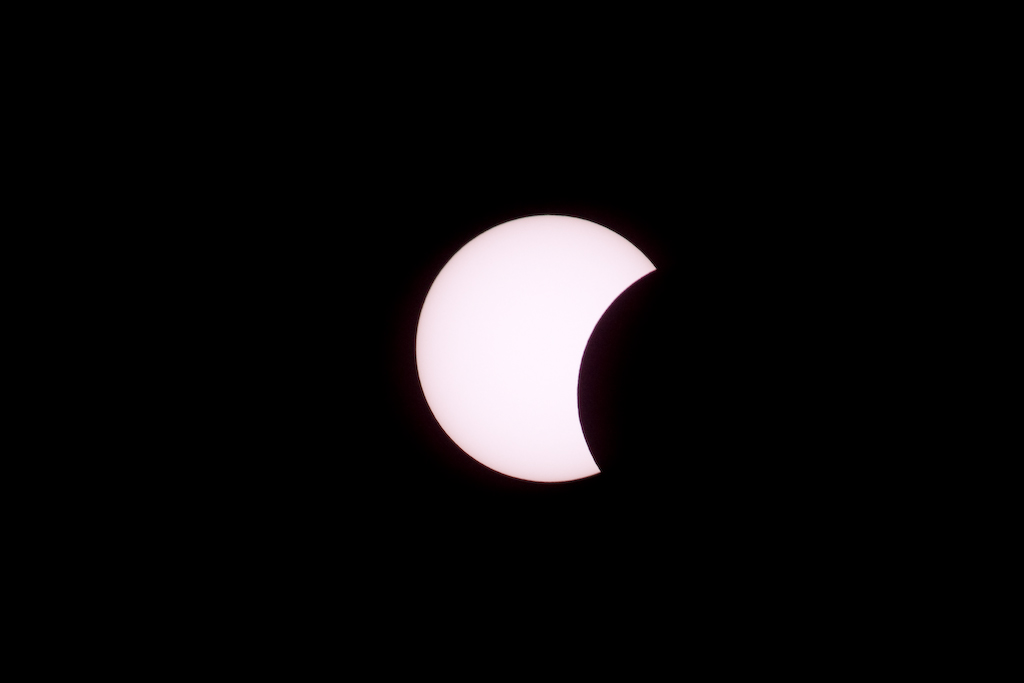 DSC03631.jpg