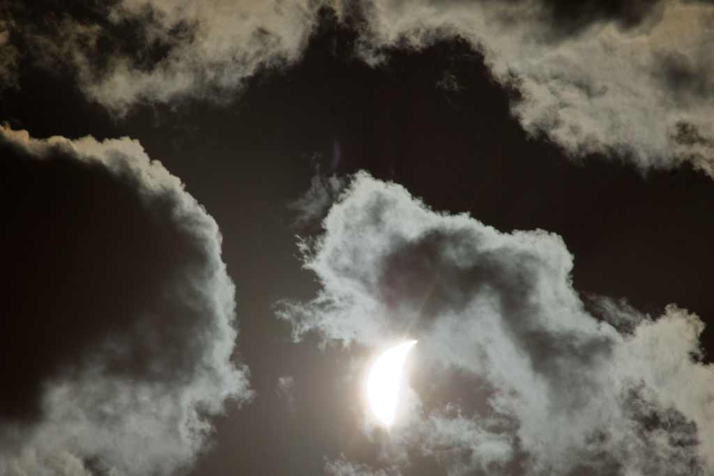 DSC03679.jpg