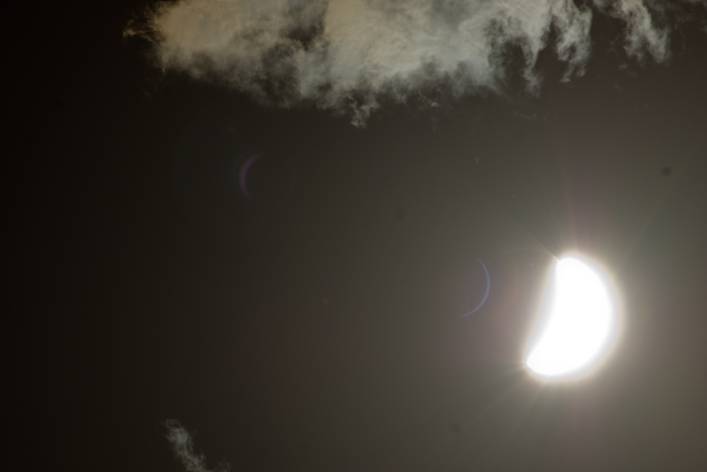 DSC03723.jpg