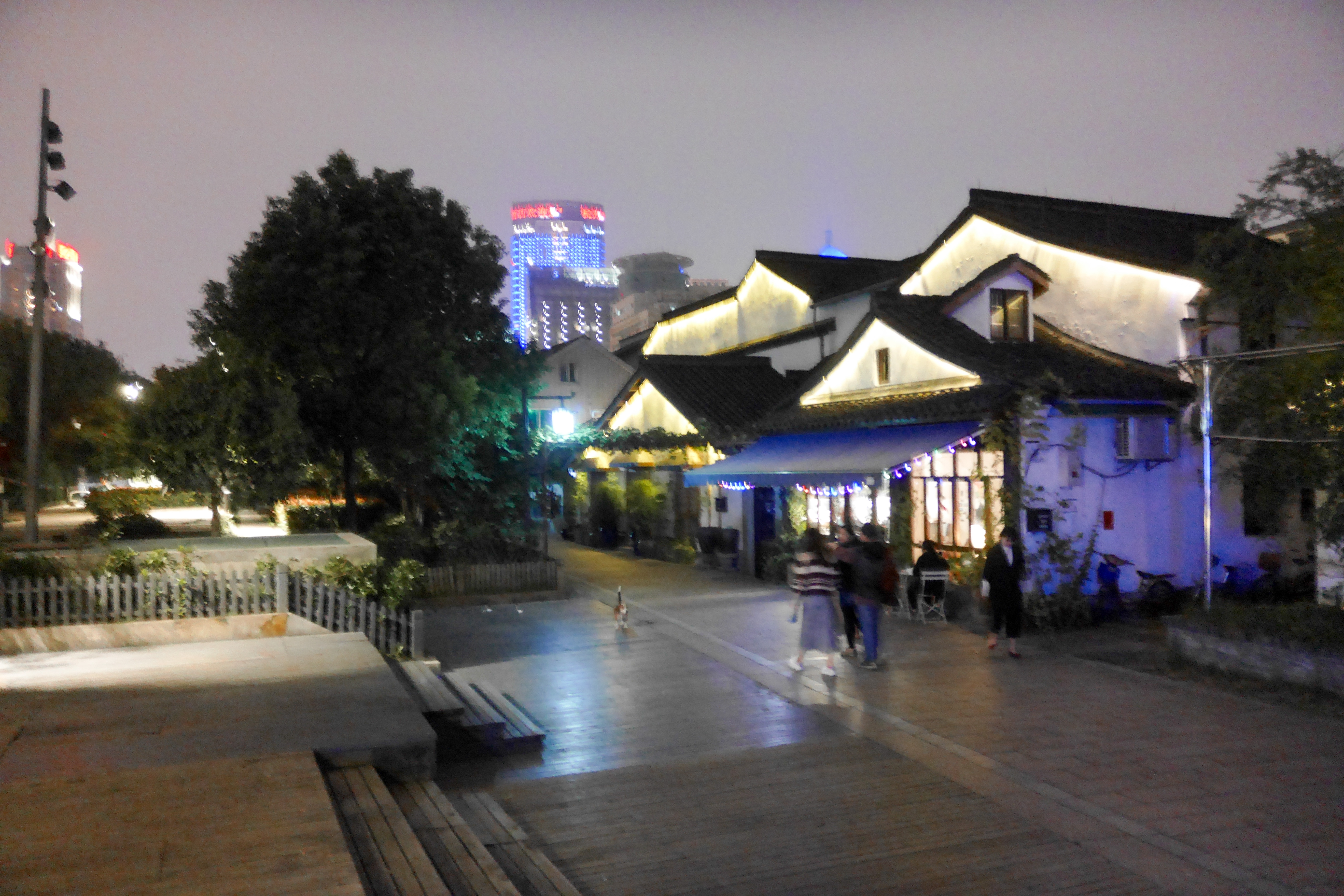P1000751.jpg