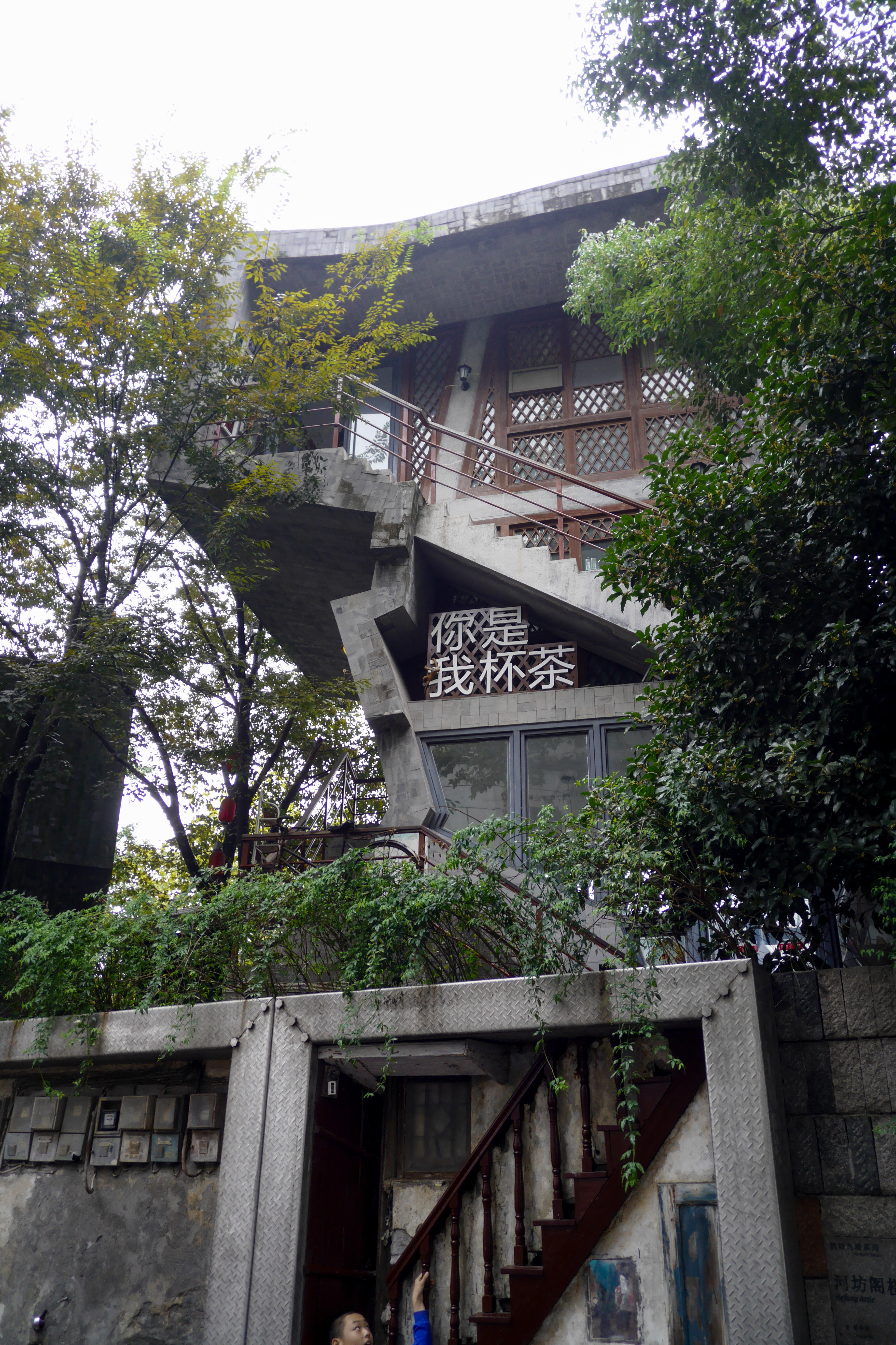 P1000755.jpg
