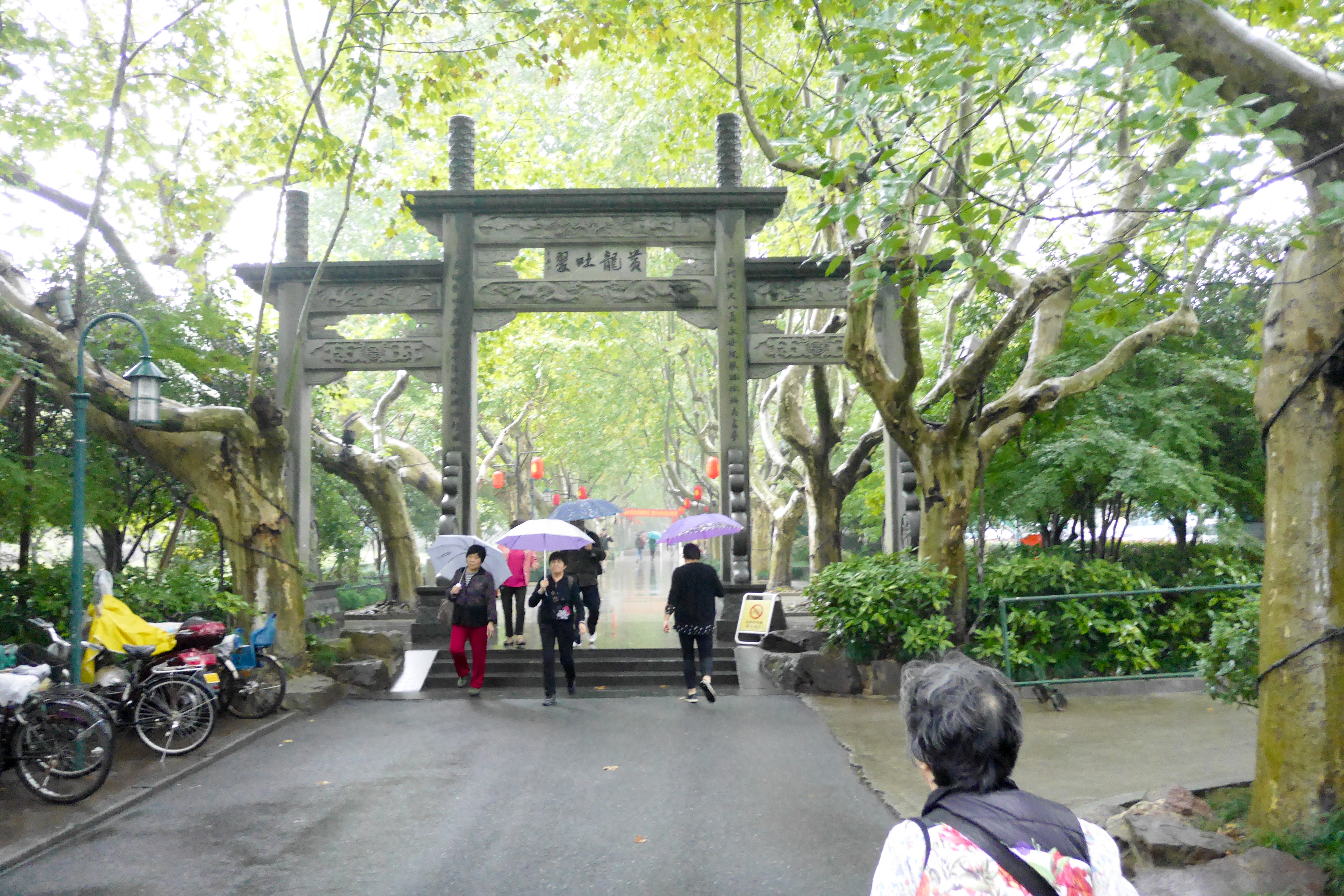 P1000759.jpg