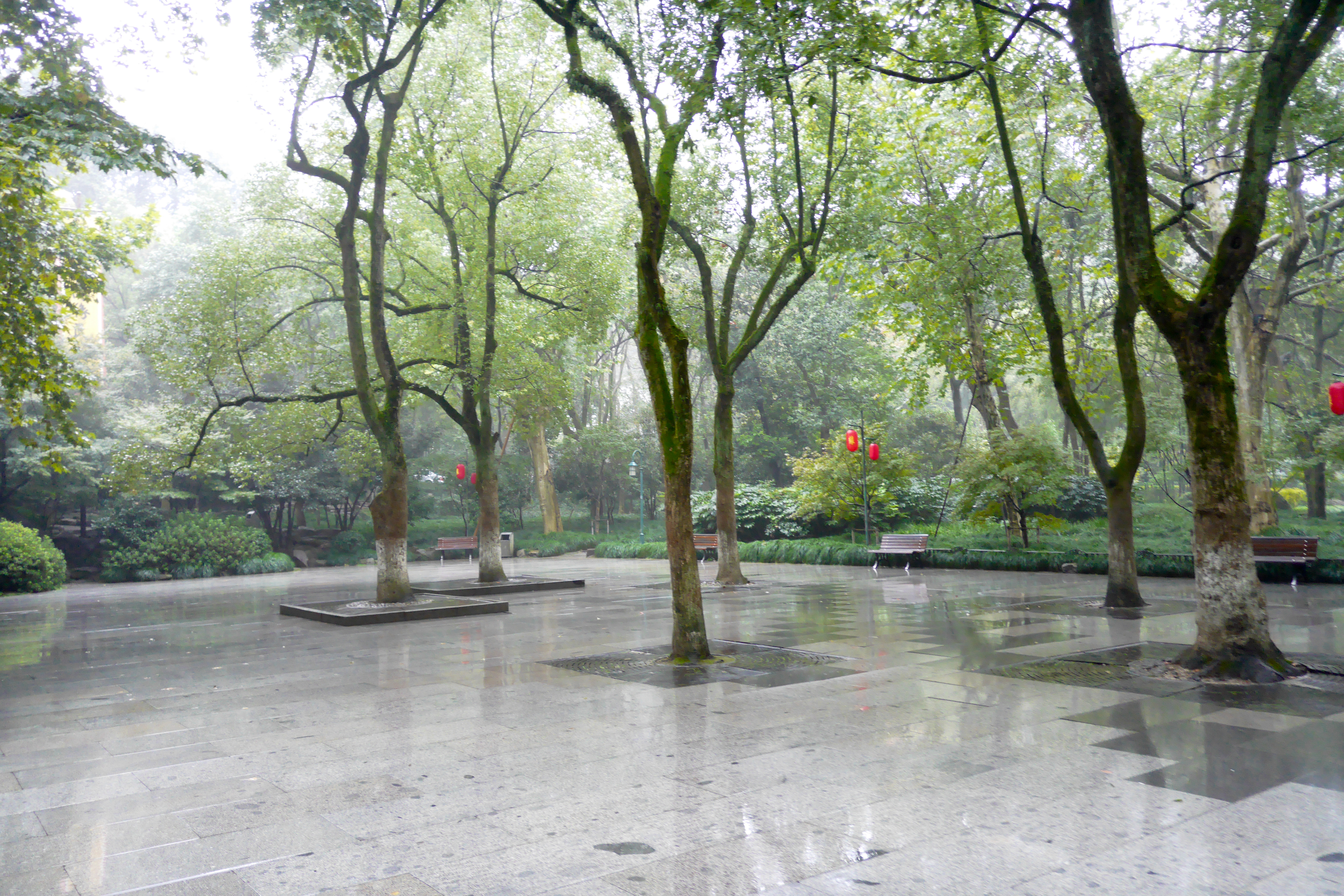 P1000761.jpg