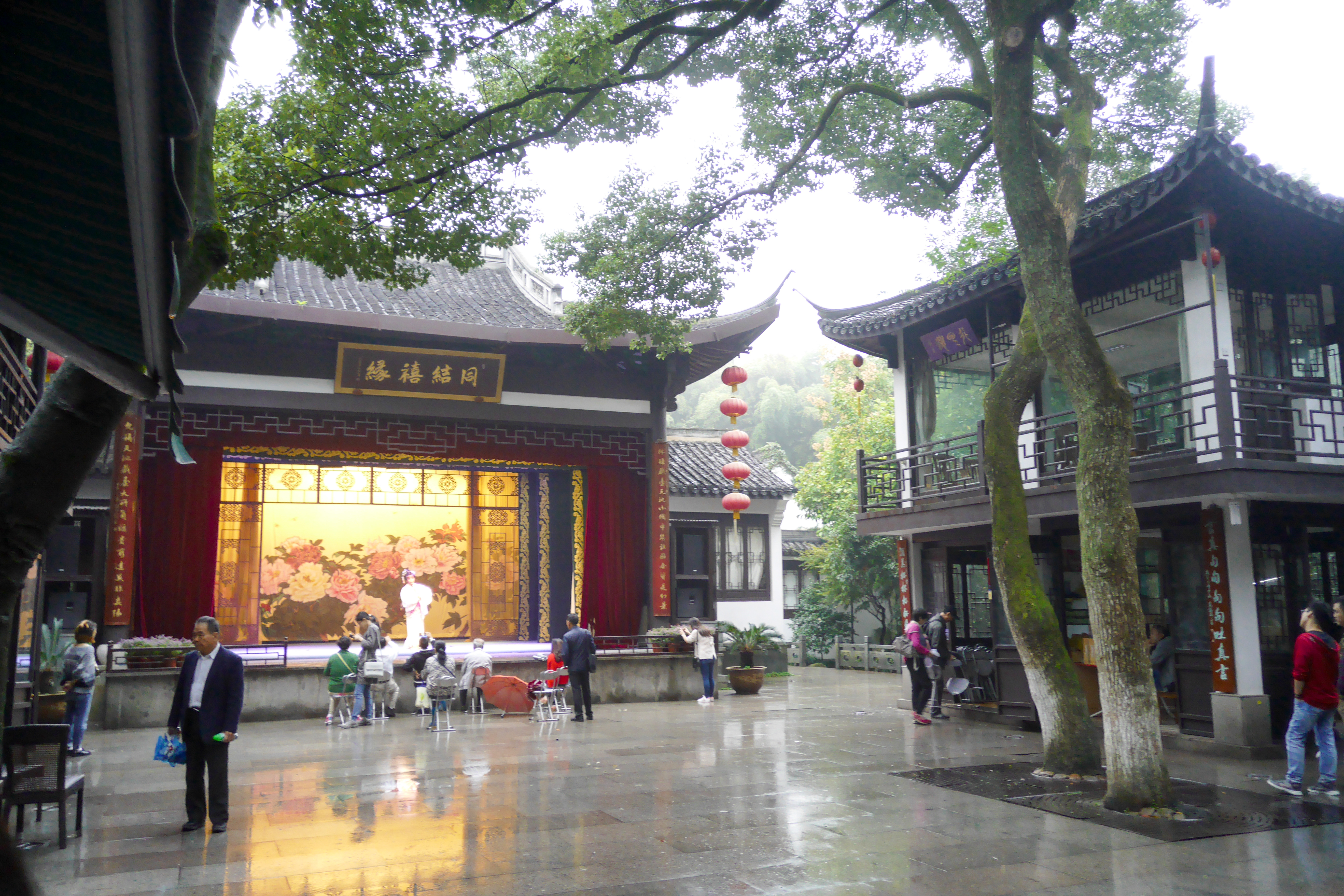 P1000769.jpg