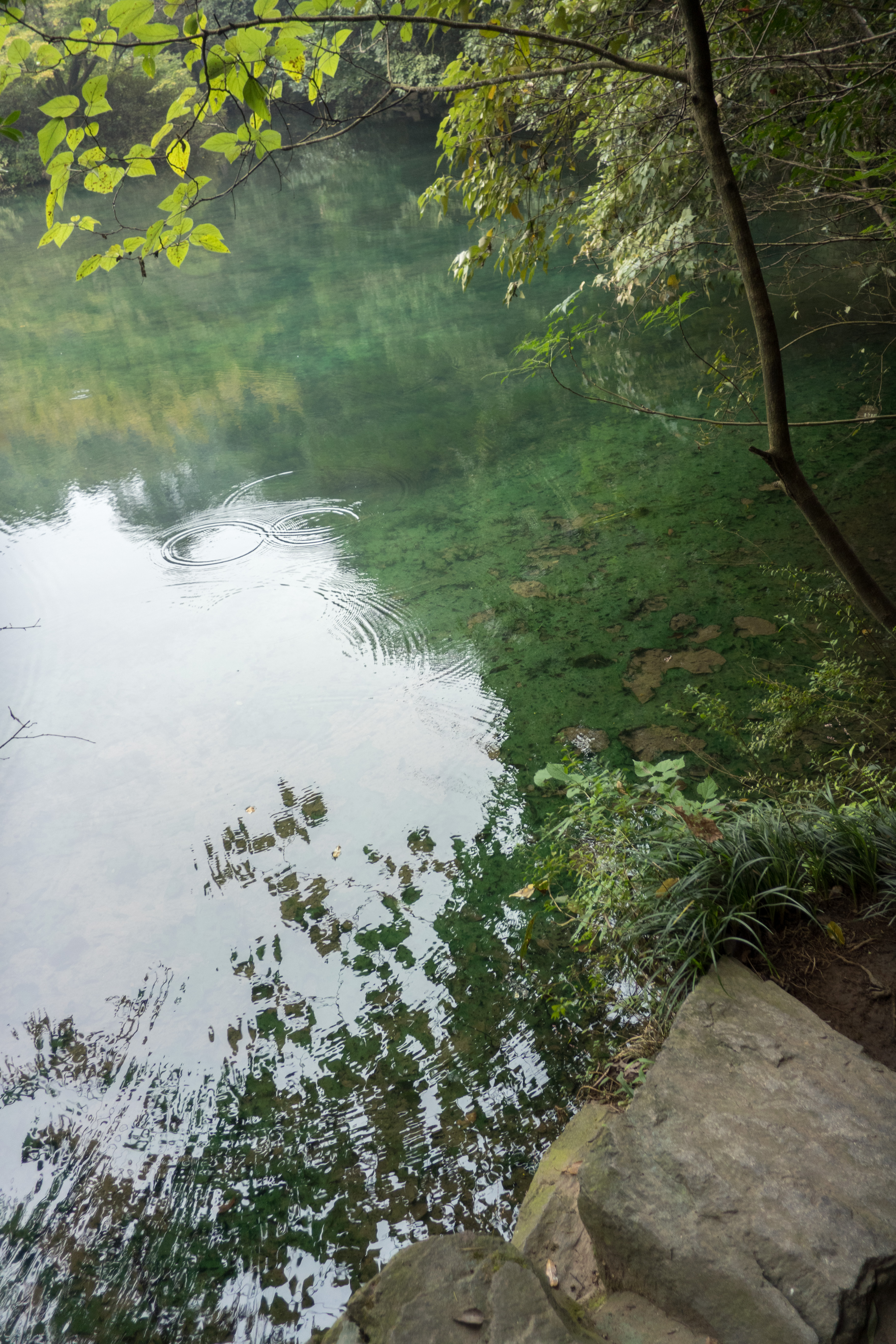 P1000816.jpg