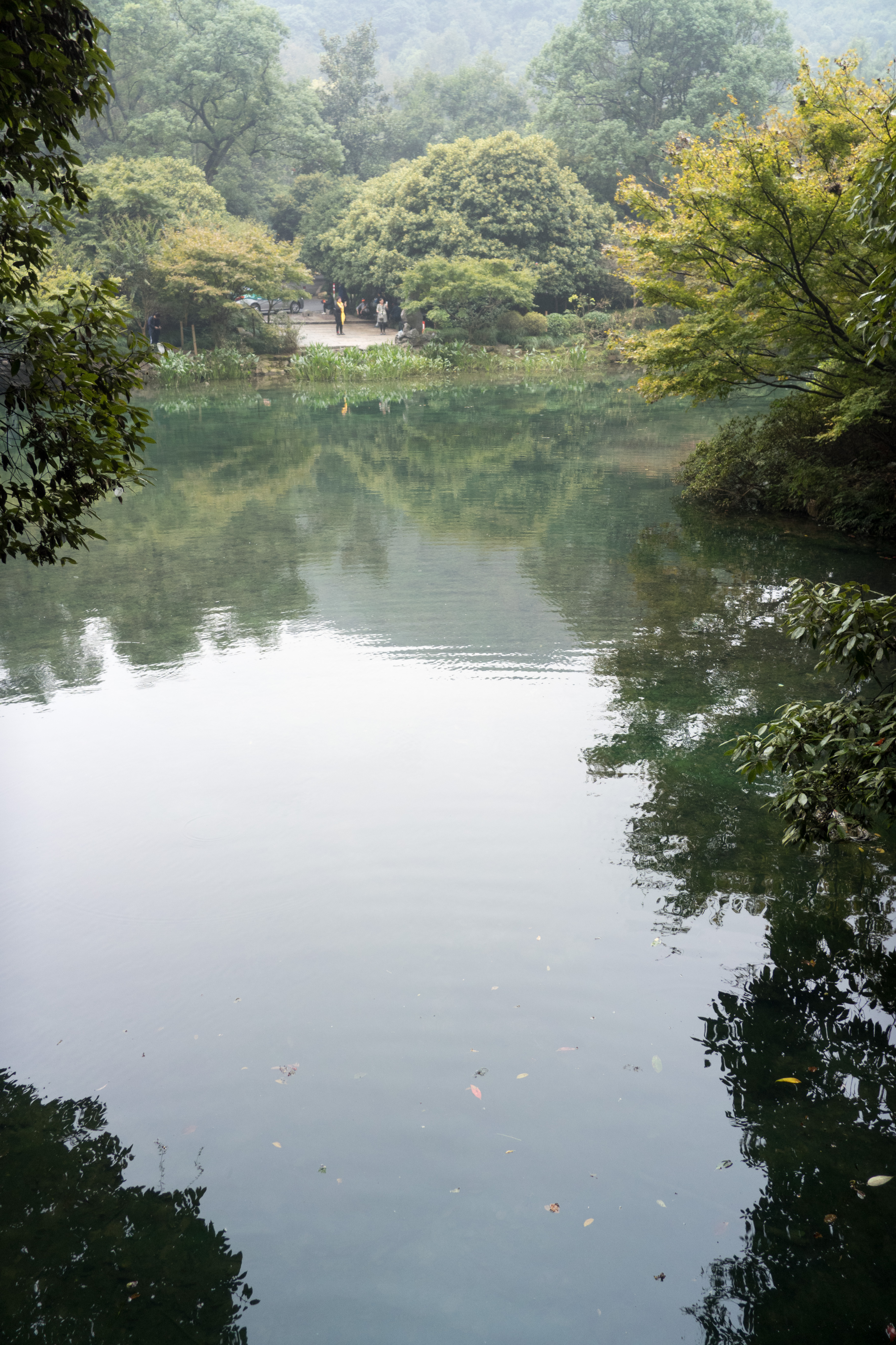 P1000818.jpg