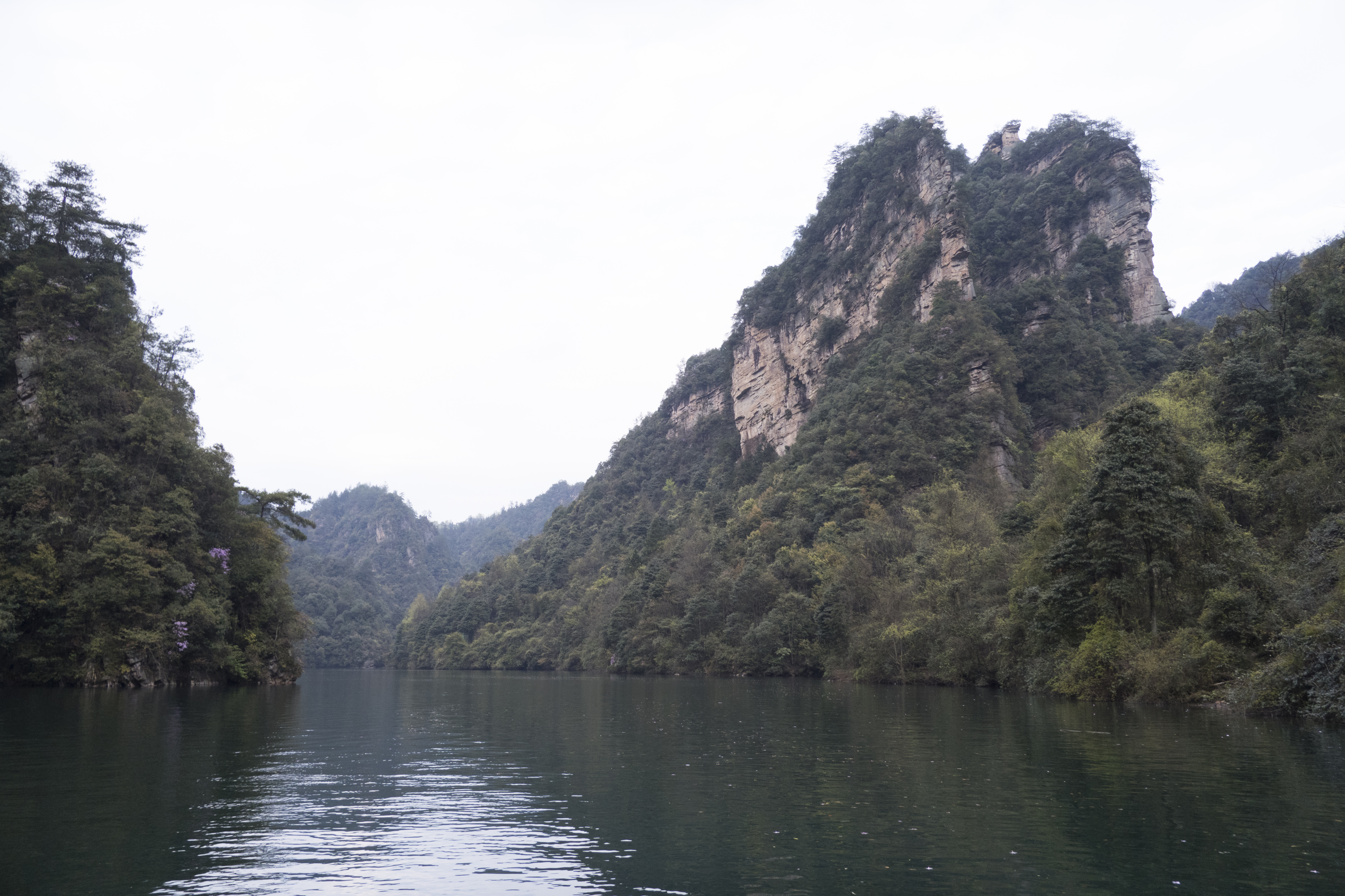 P1000725.jpg