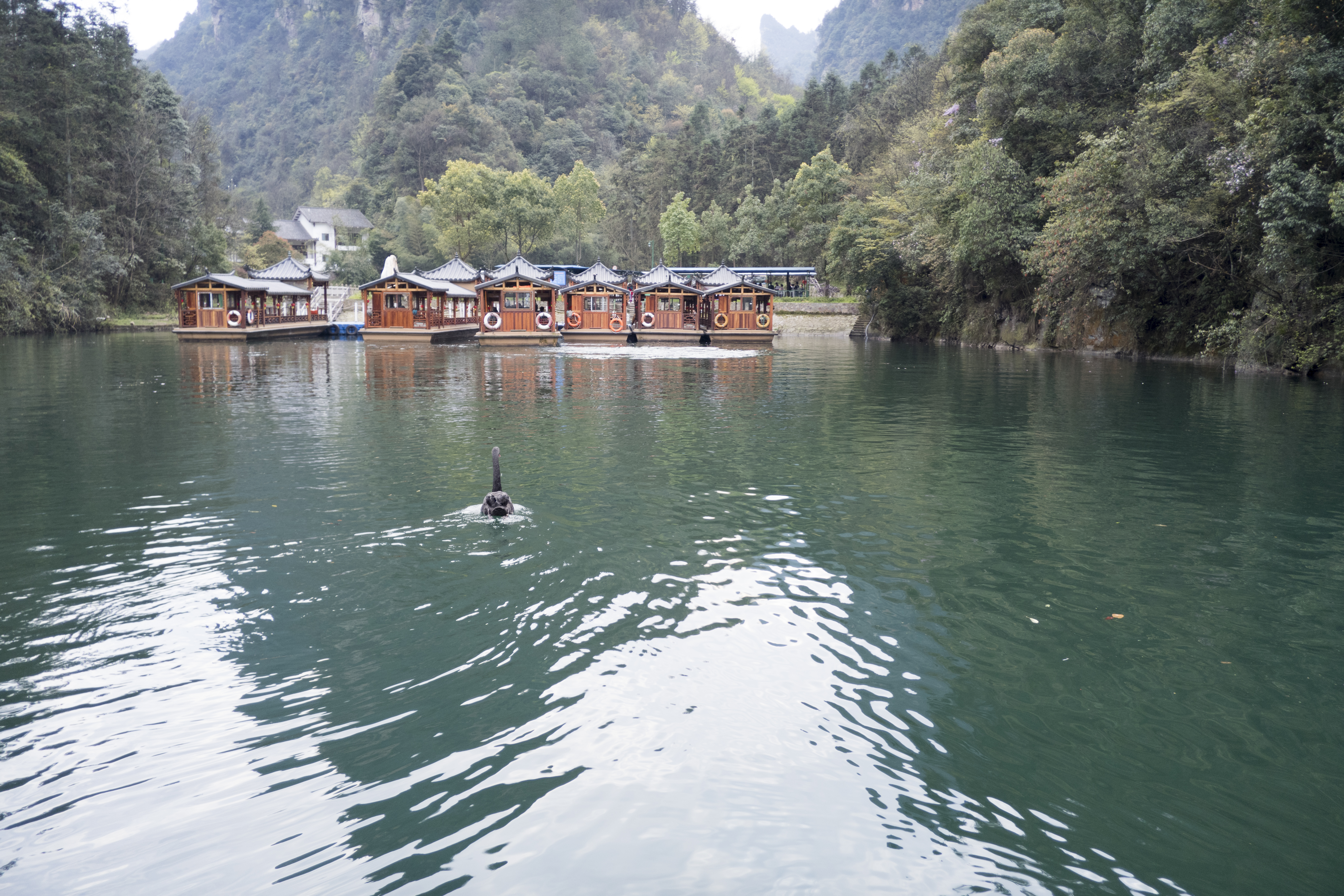 P1000727.jpg
