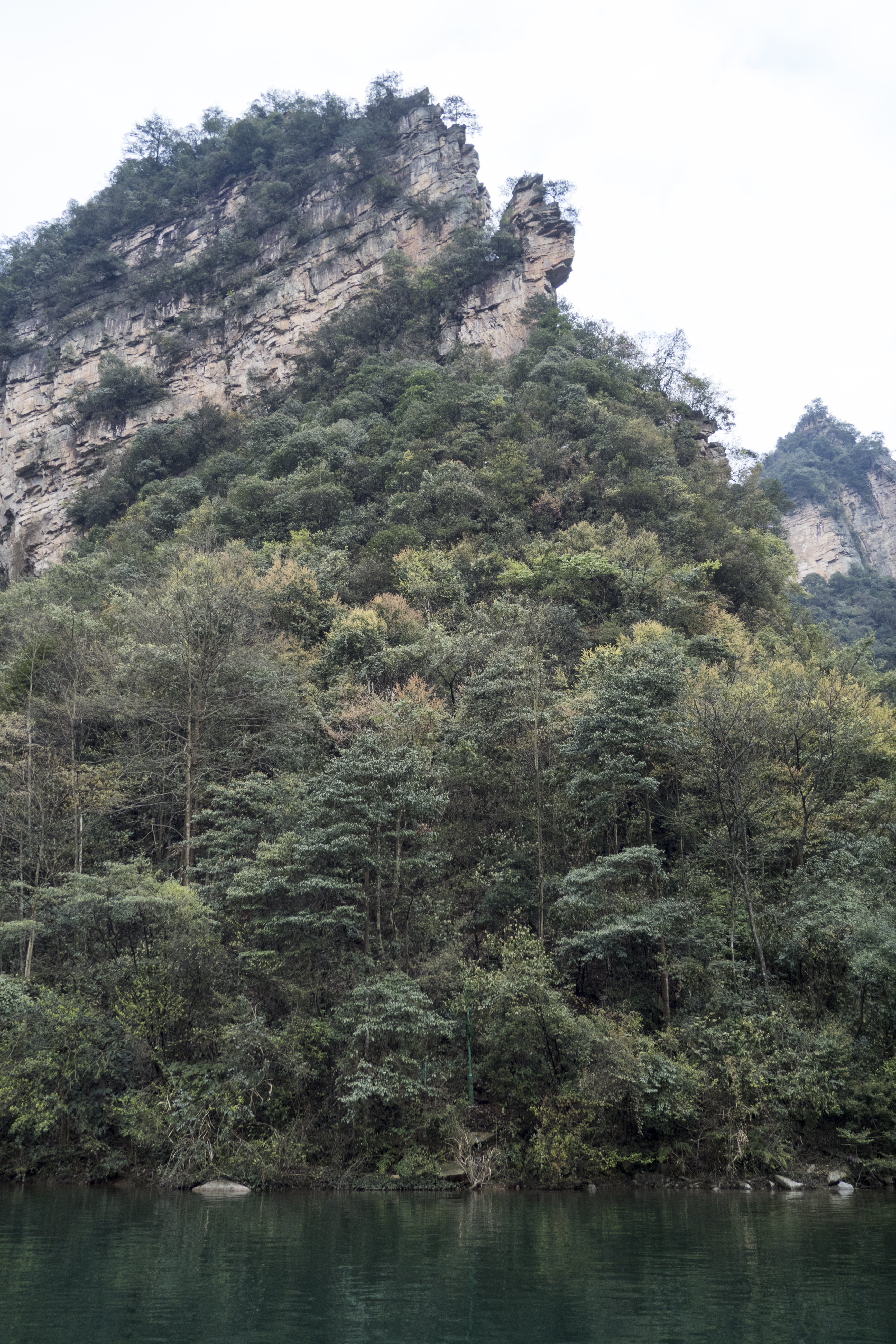 P1000732.jpg