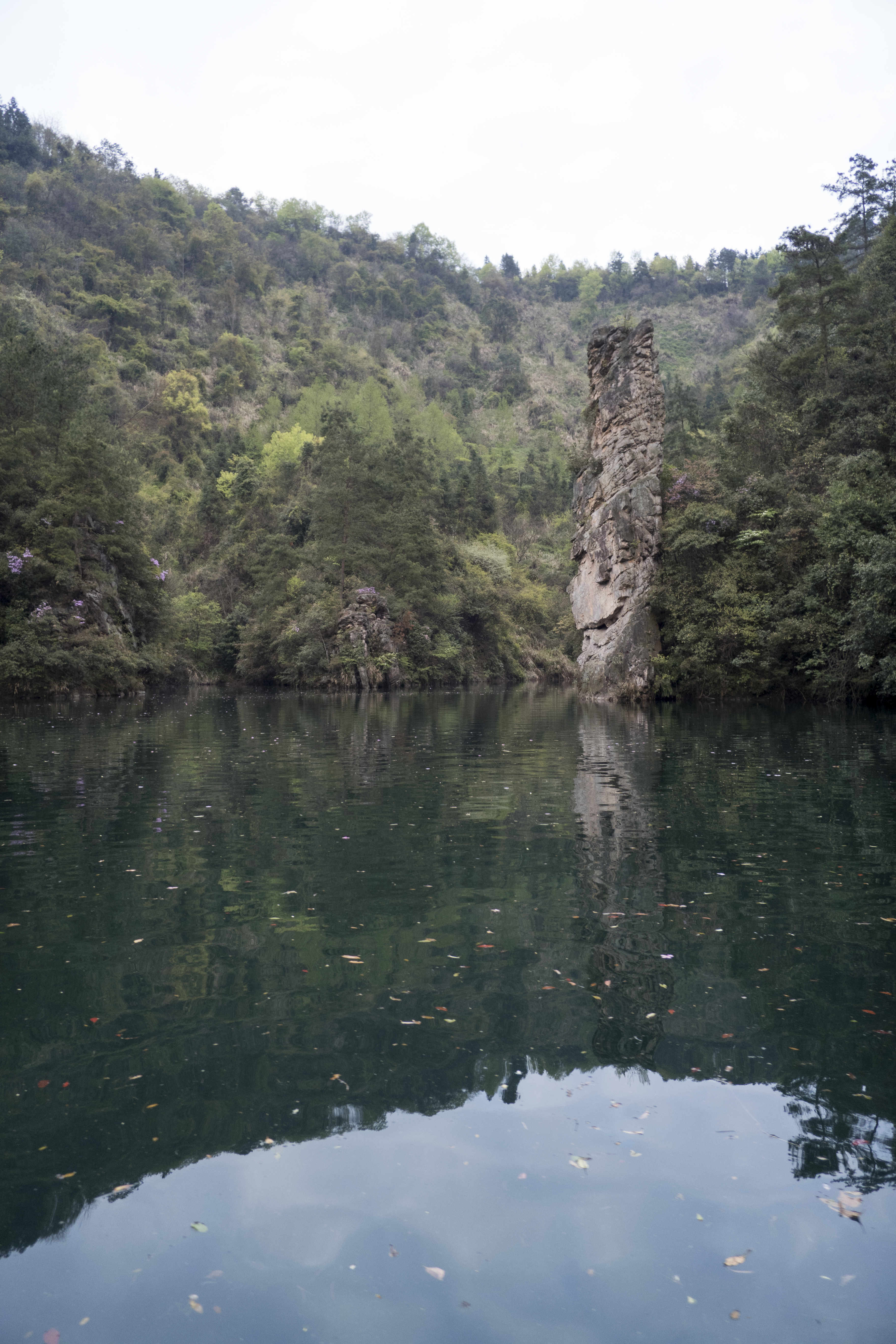 P1000747.jpg