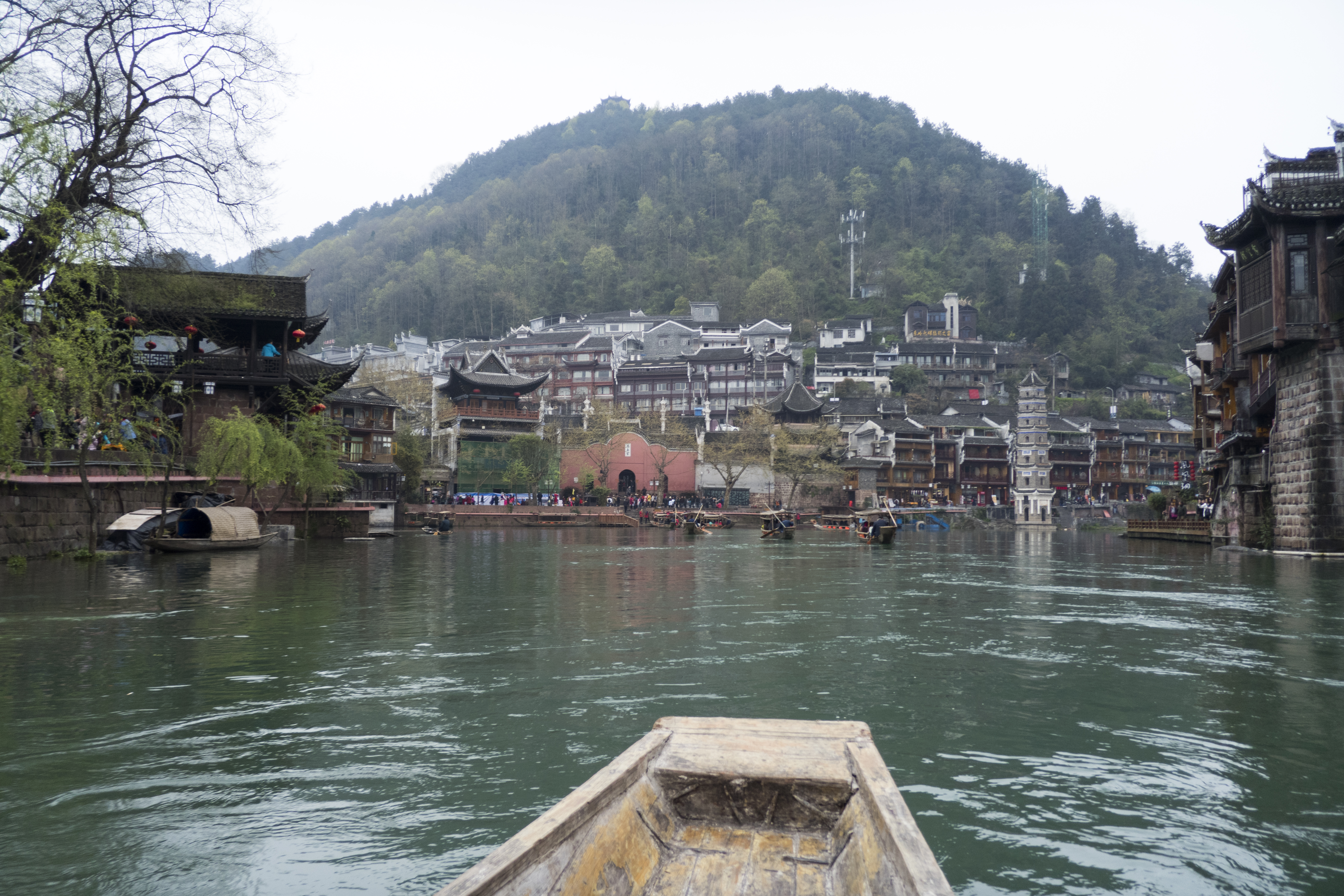 P1000477.jpg