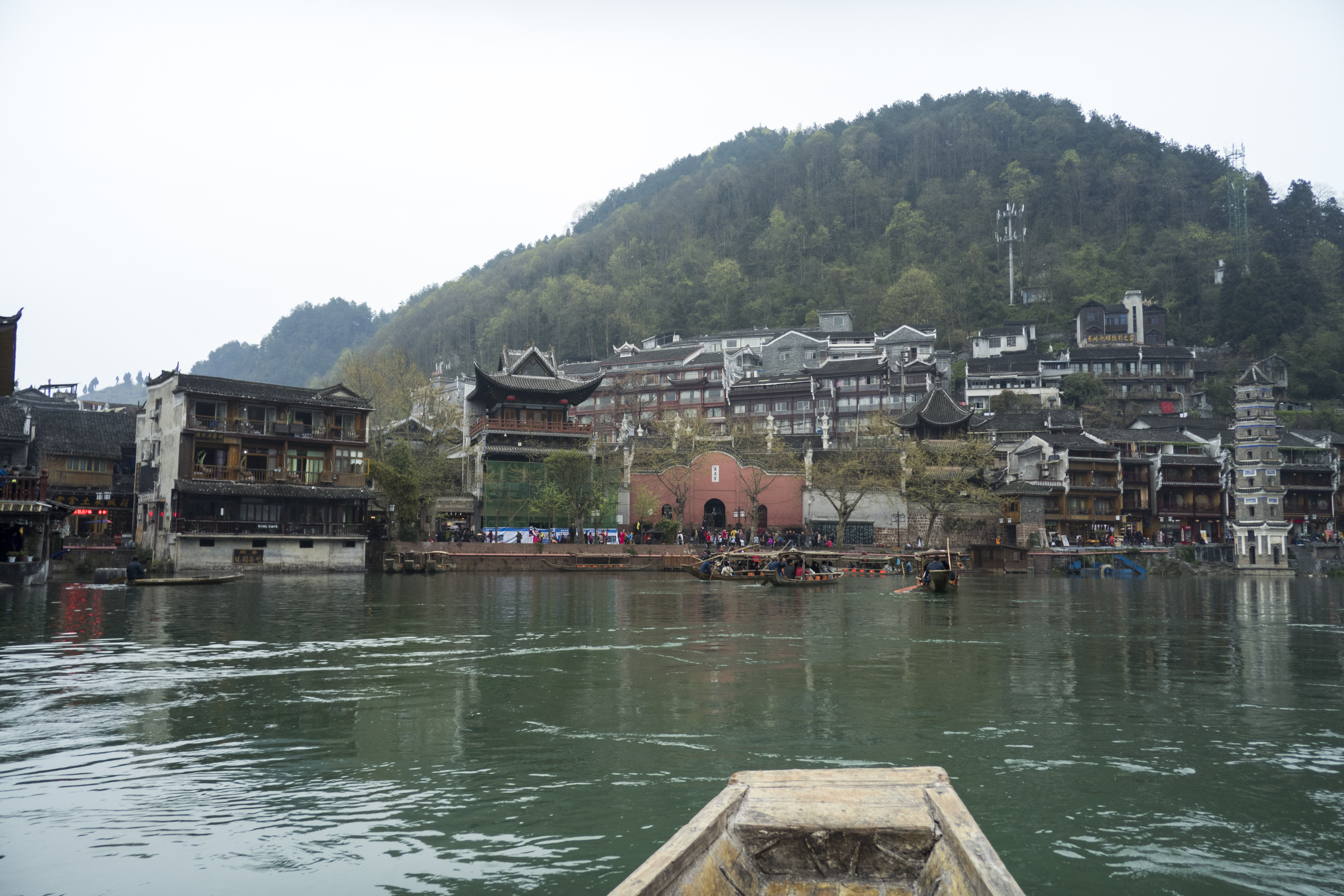 P1000480.jpg