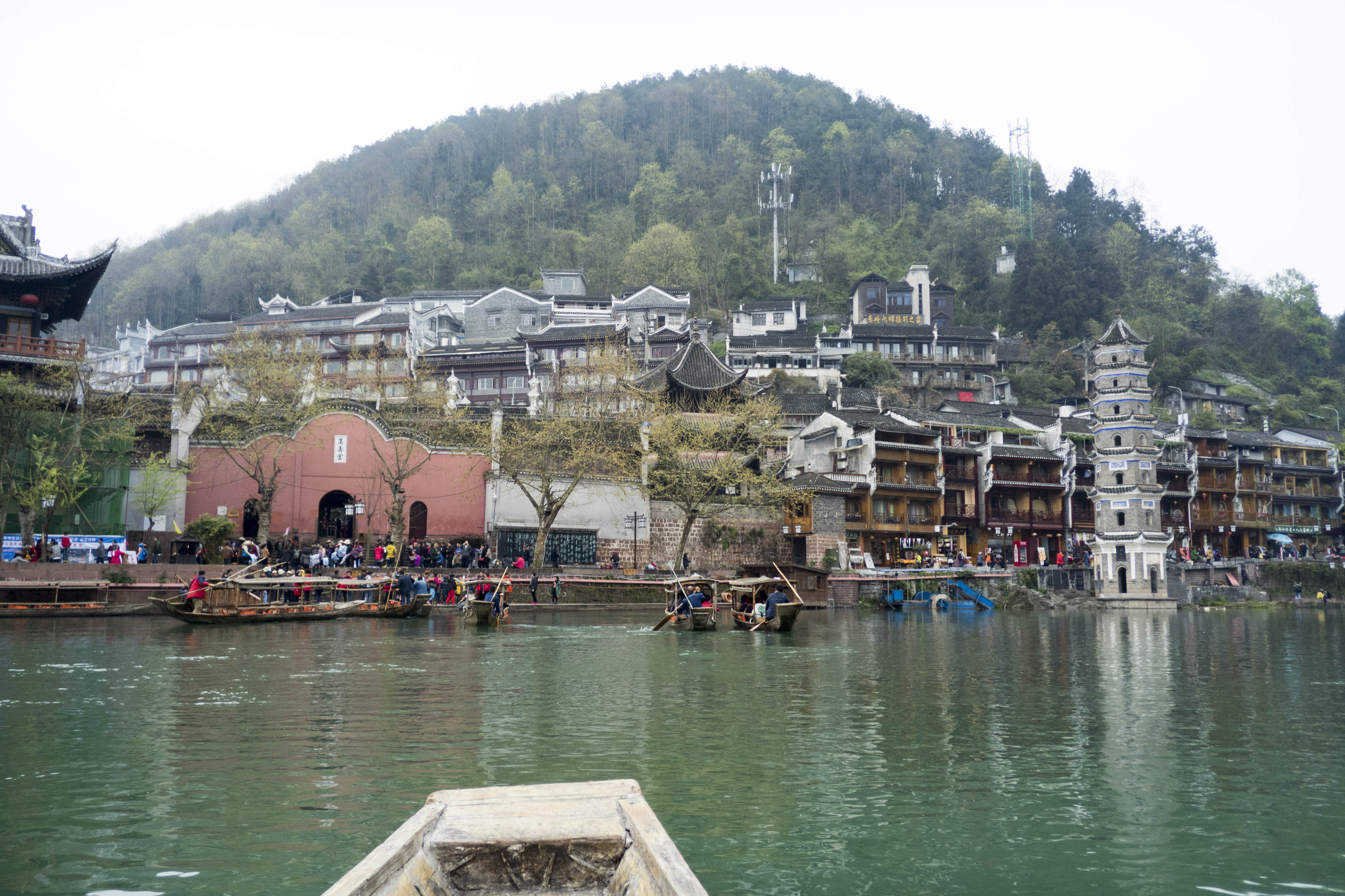 P1000484.jpg