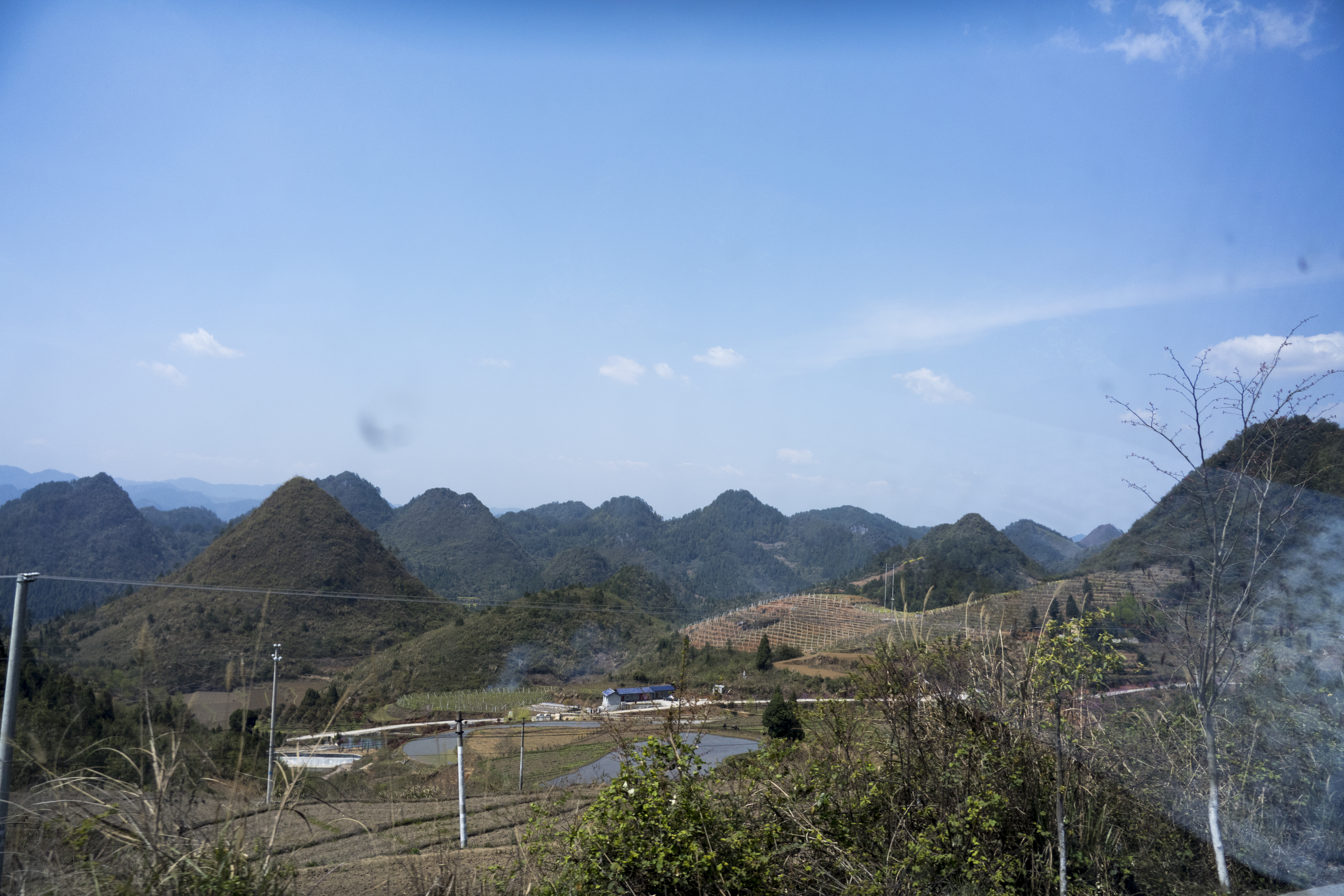 P1000542.jpg