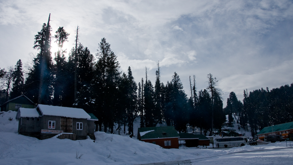 dsc01484.jpg
