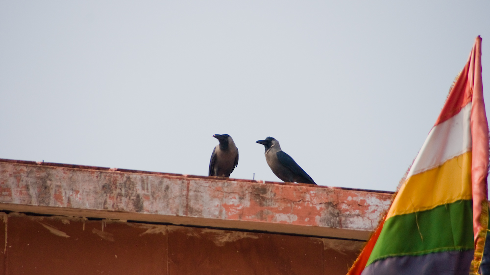 dsc00498.jpg