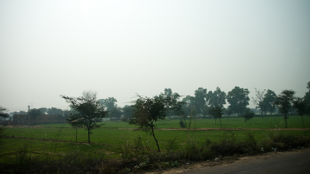dsc00520.jpg