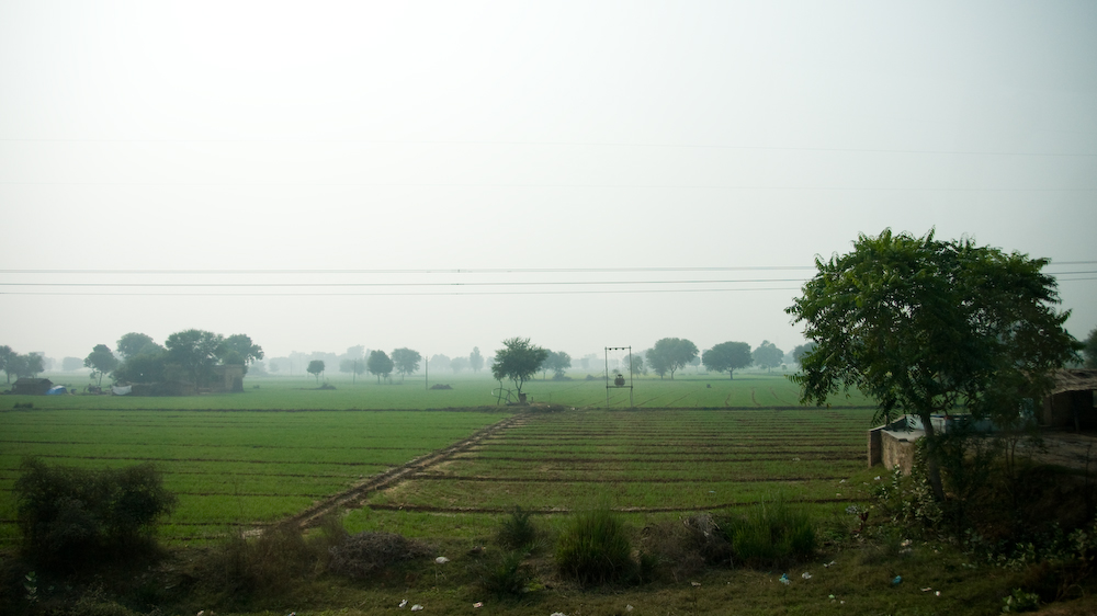 dsc00526.jpg
