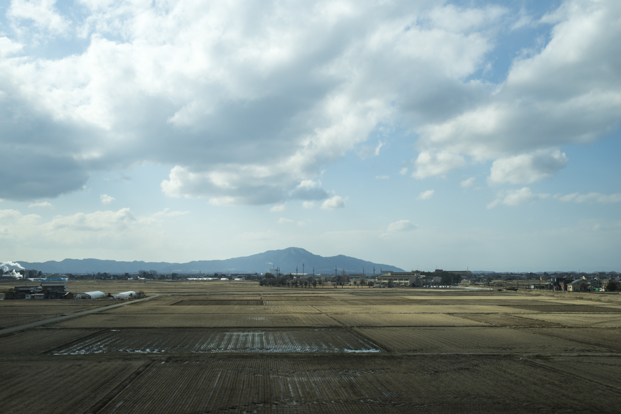 DSC03690.jpg