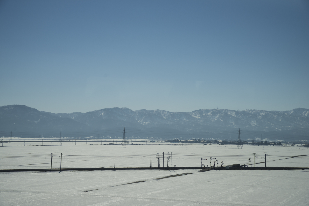 DSC03967.jpg