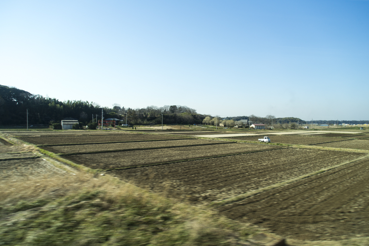 DSC04544.jpg