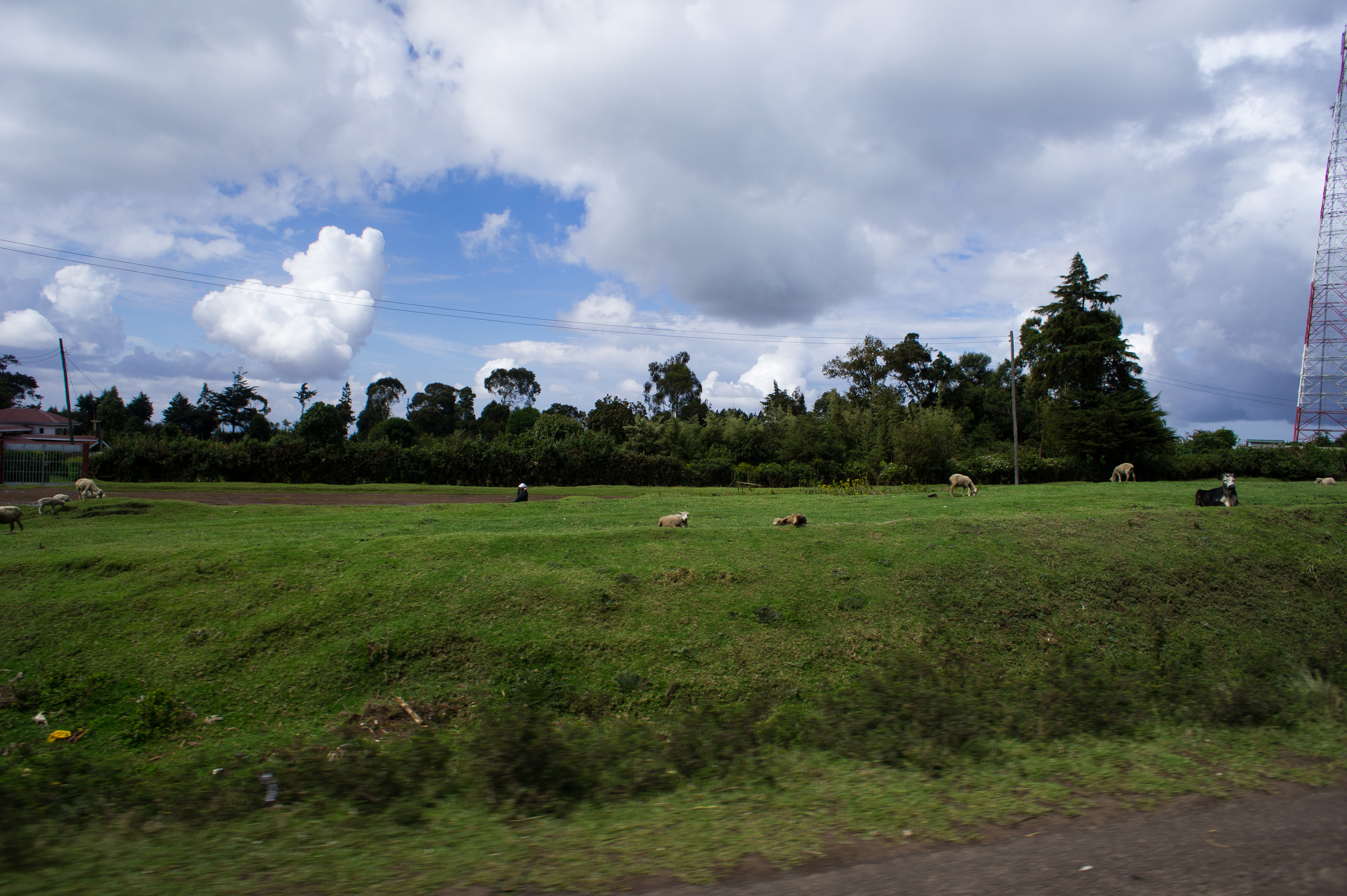 nex5.DSC02396.jpg