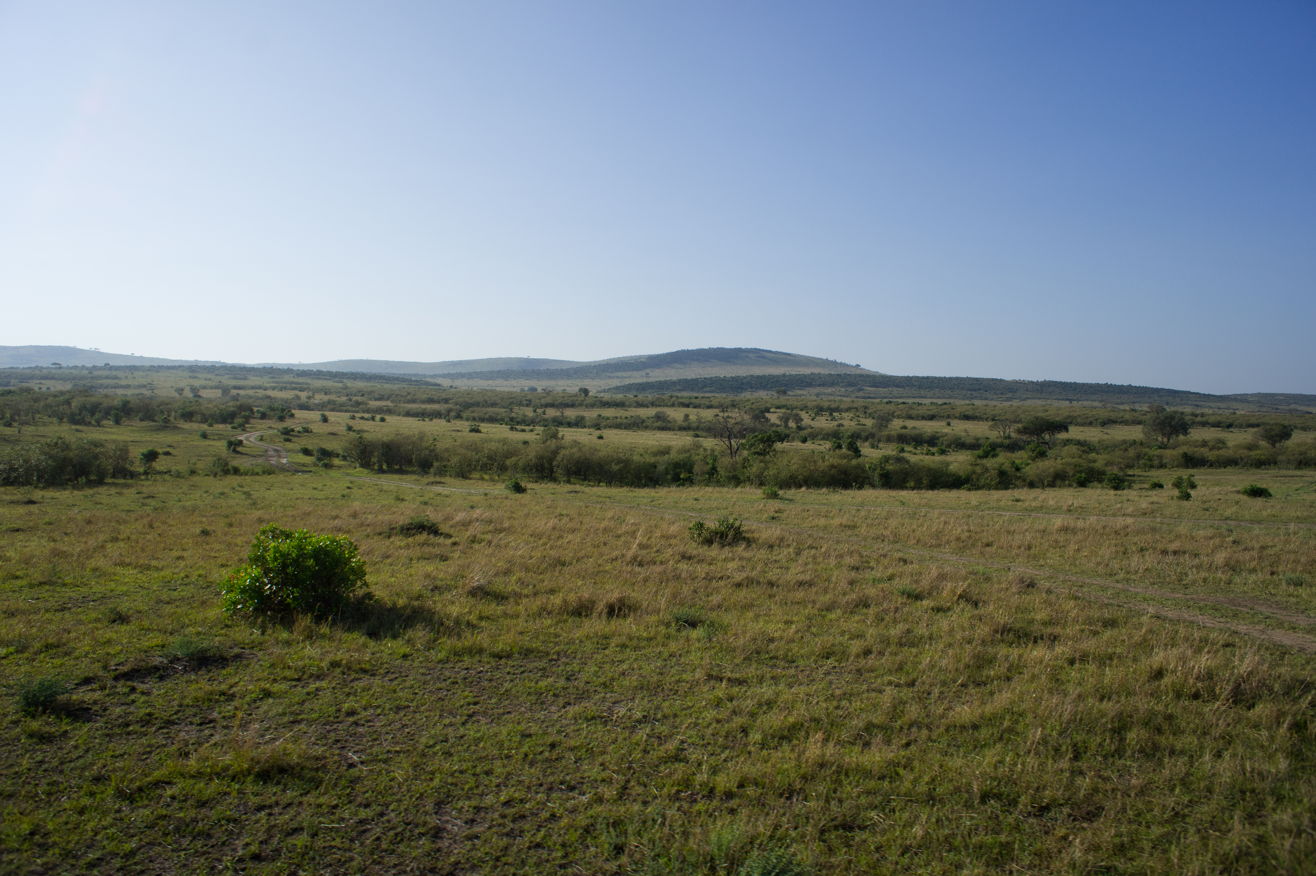 DSC02792.jpg