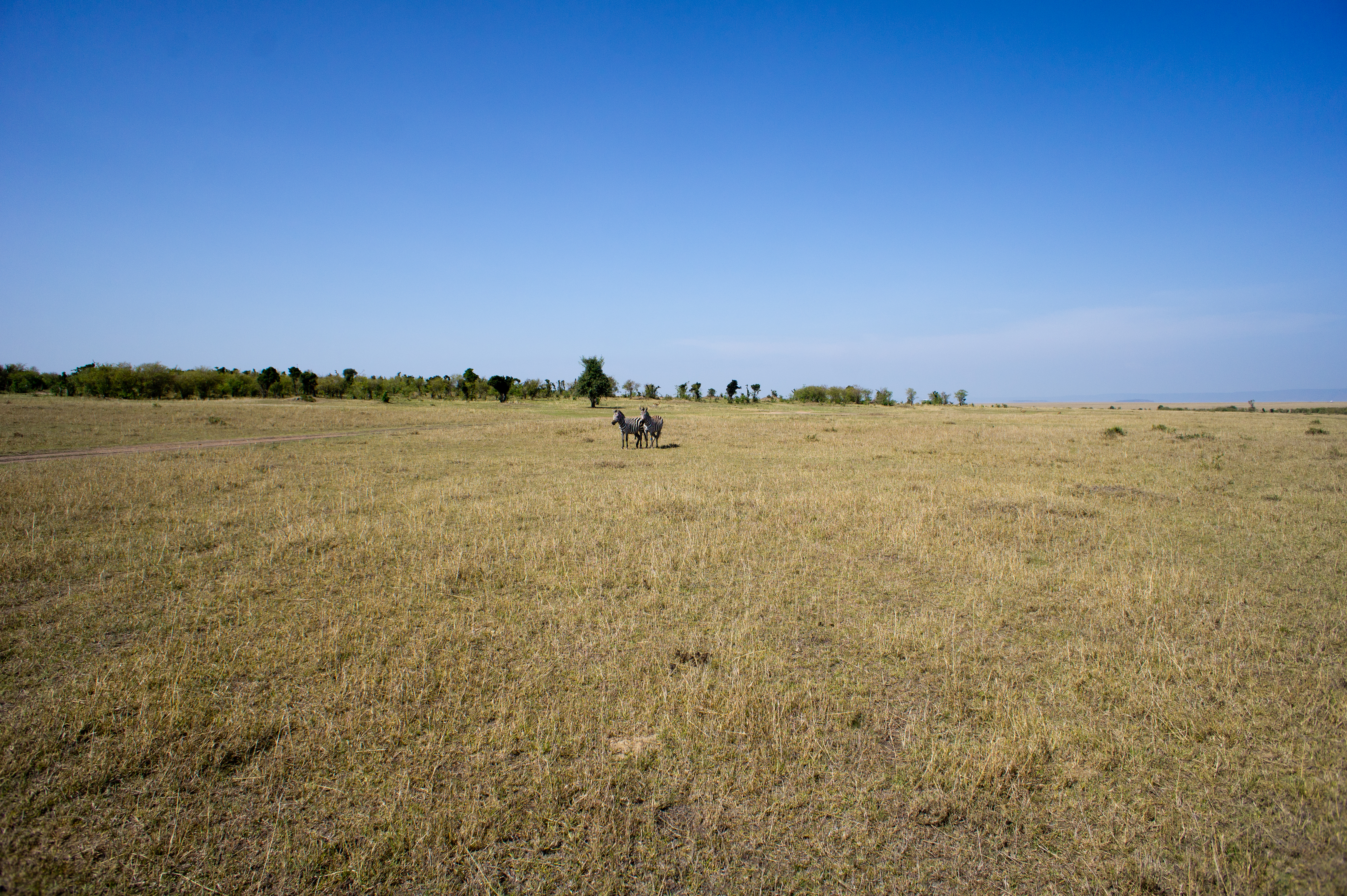 nex5.DSC02847.jpg