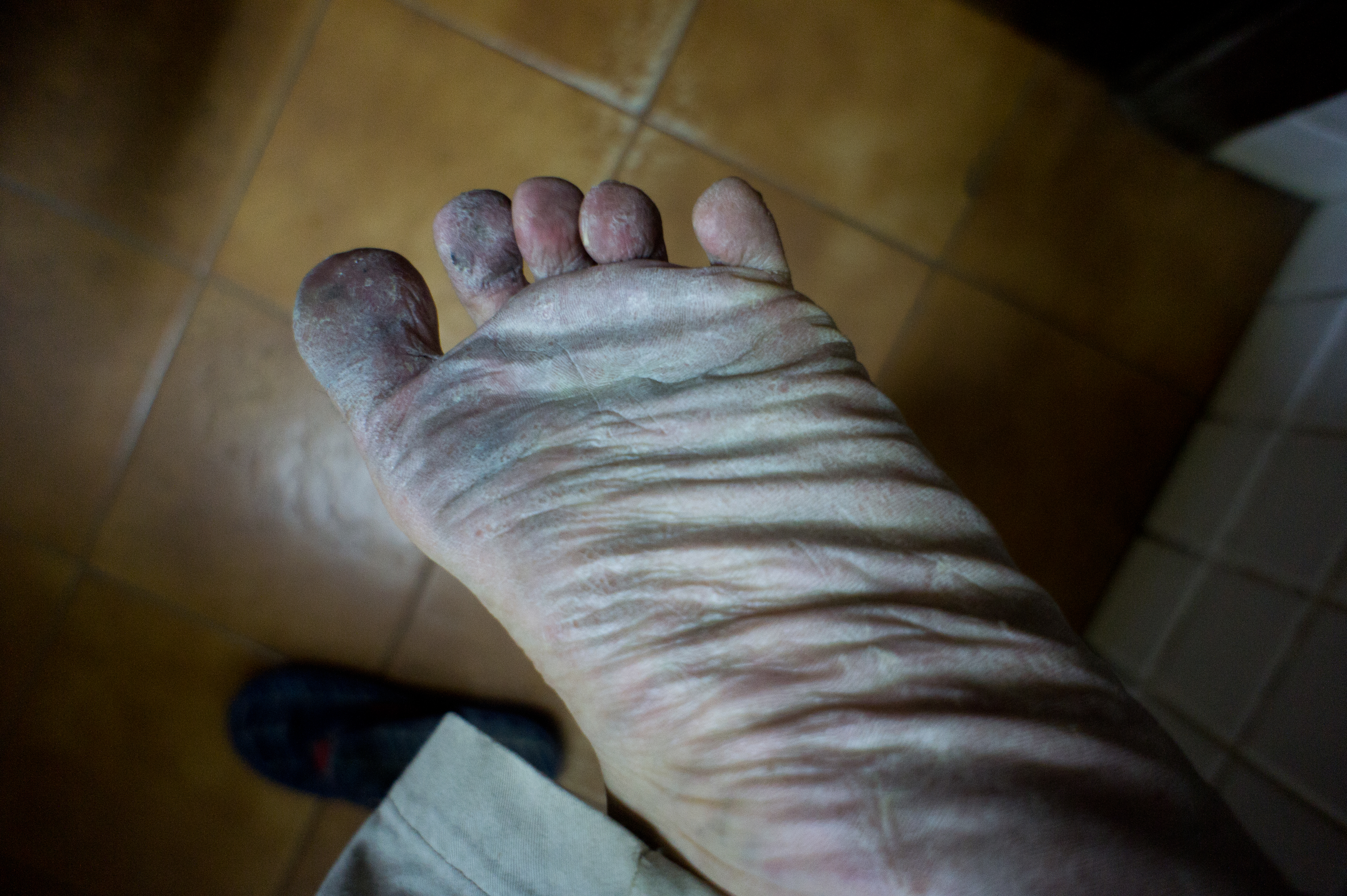 nex5.DSC02448.jpg