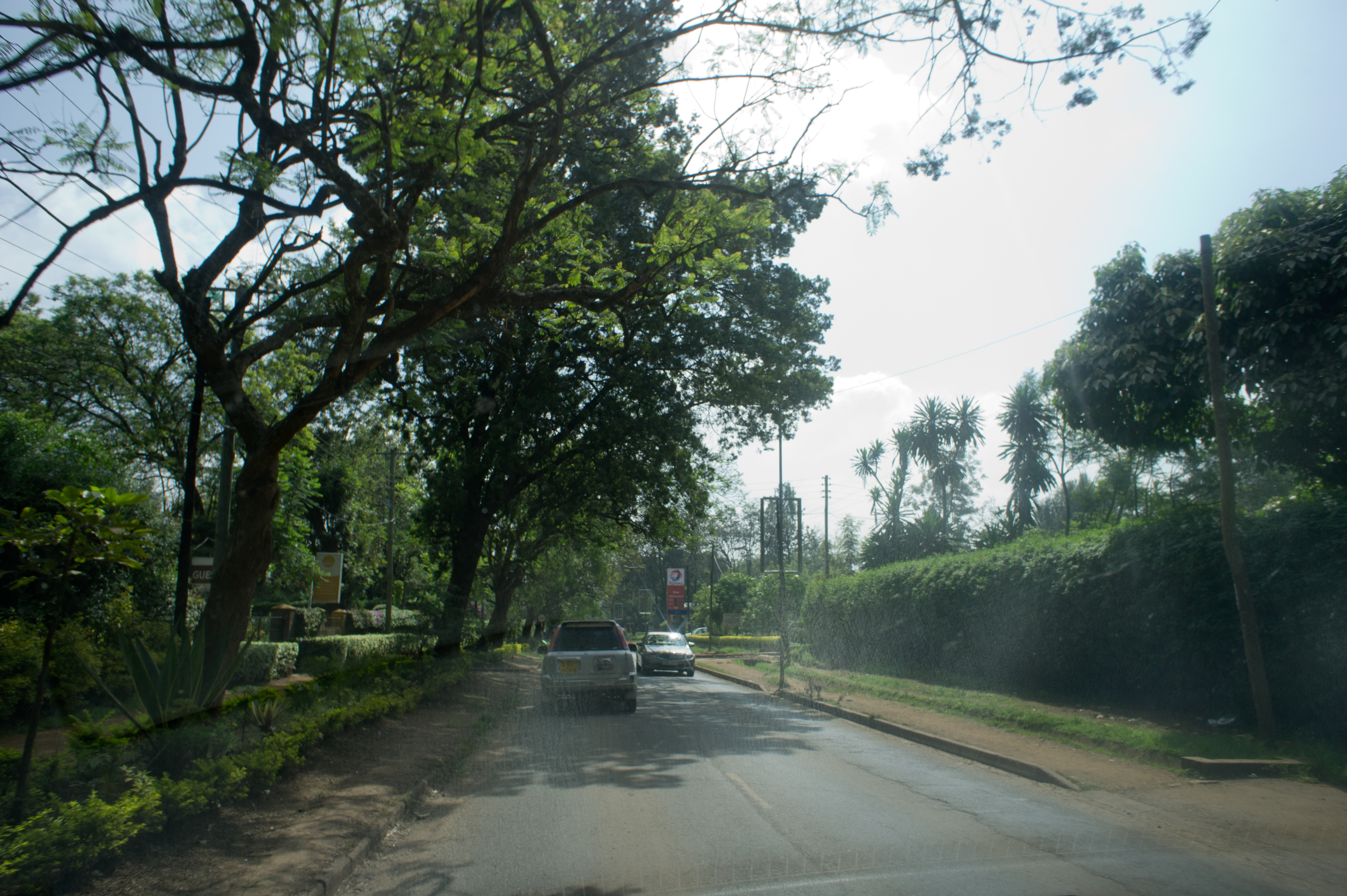 nex5.DSC02482.jpg