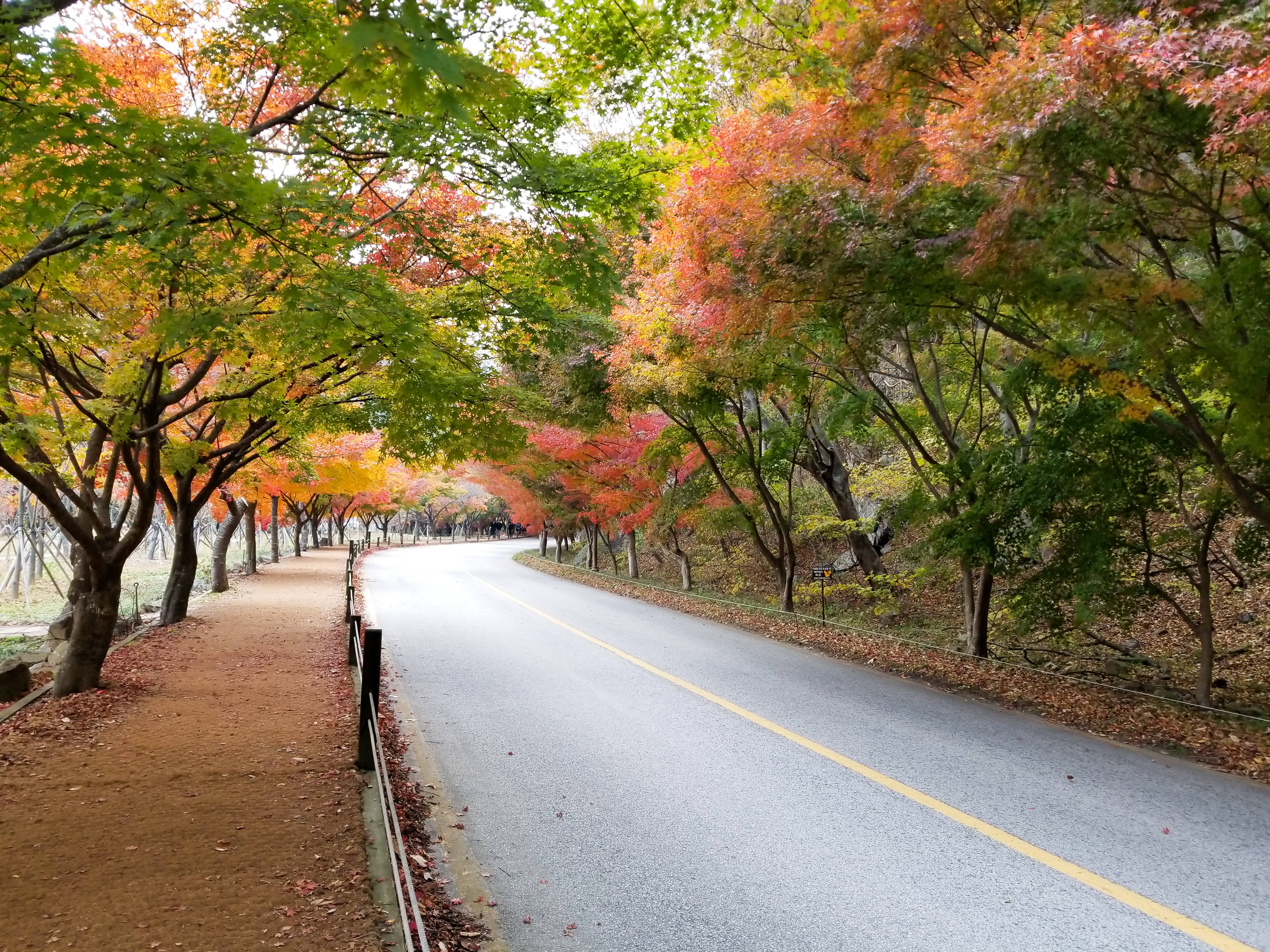 20181031_140930.jpg