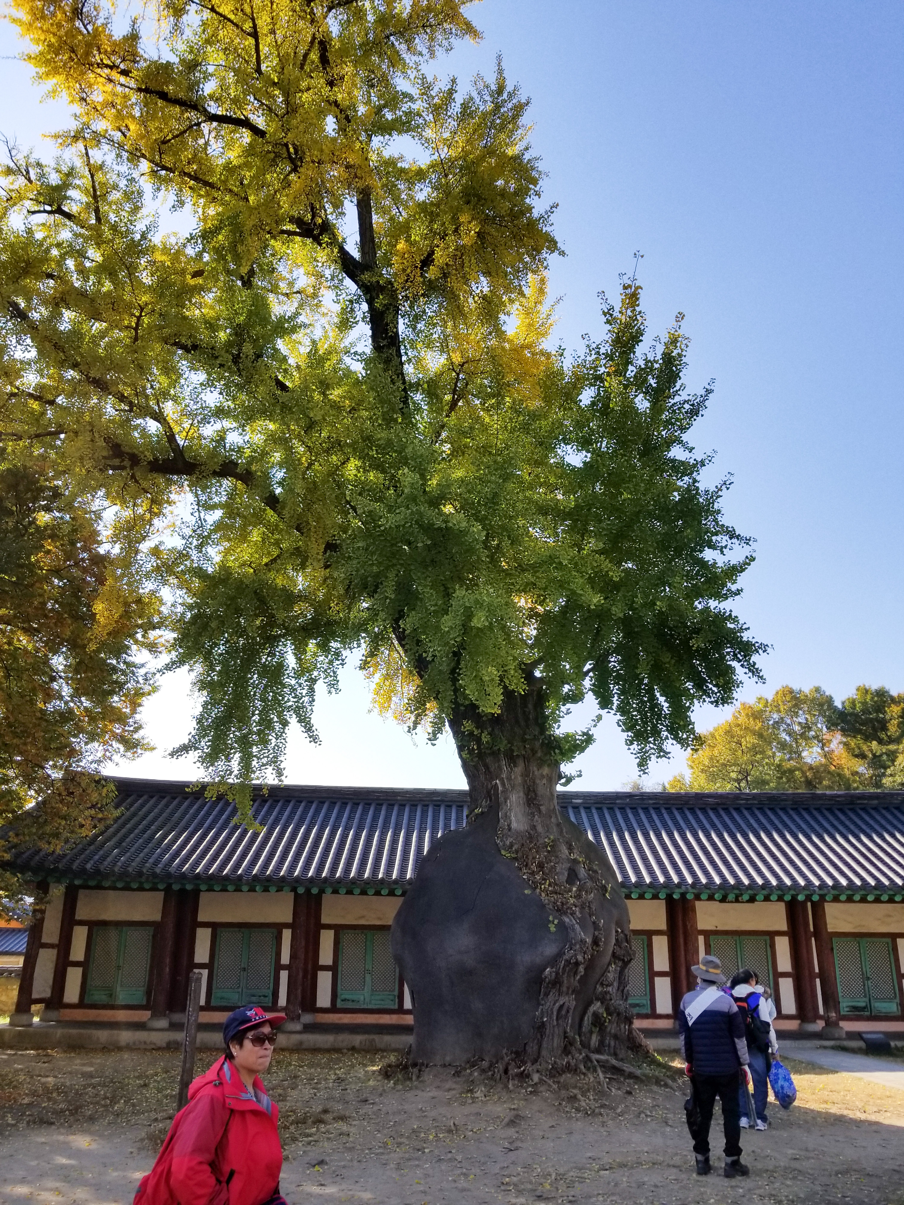 20181101_144531.jpg