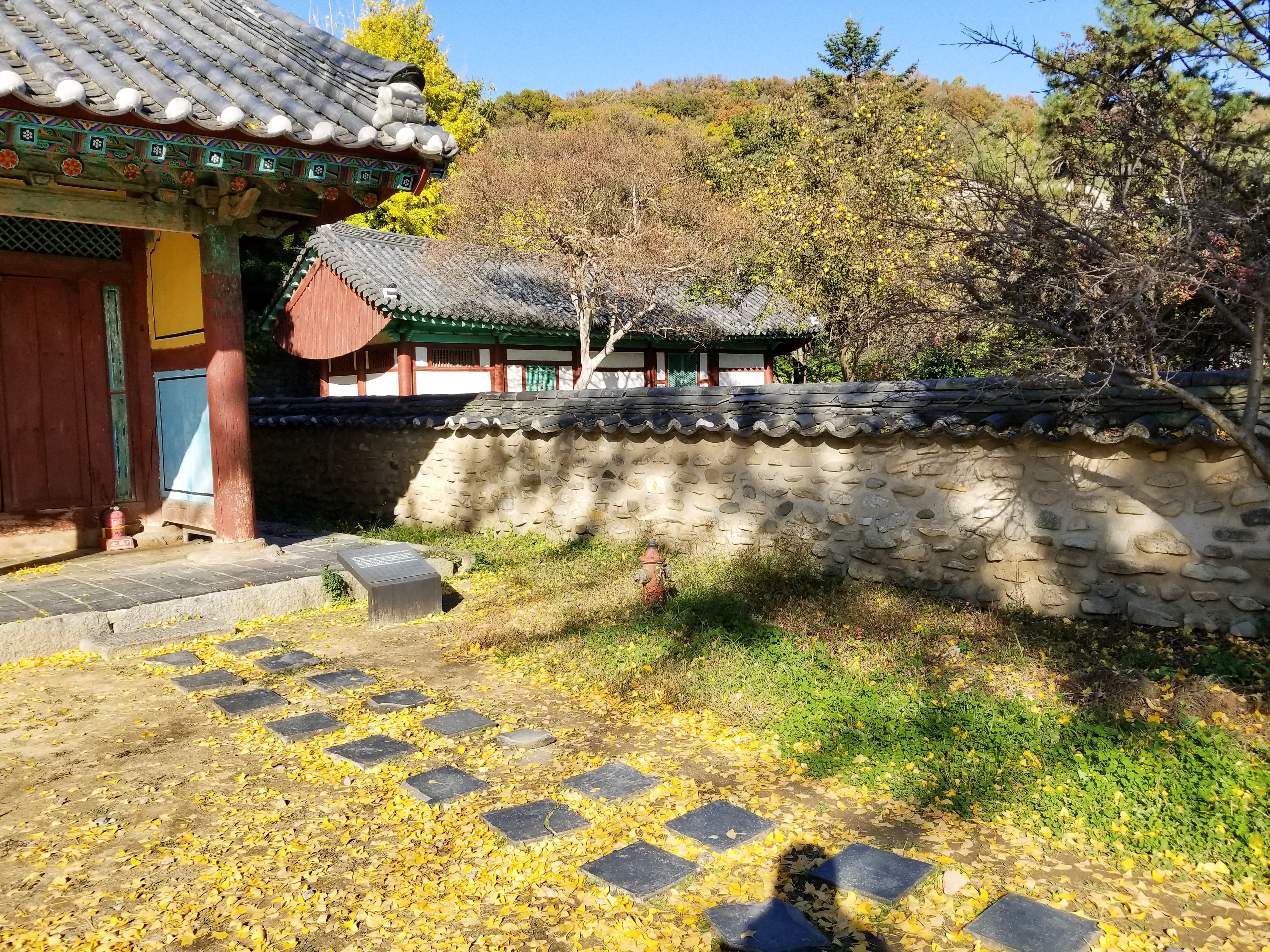 20181101_145238.jpg