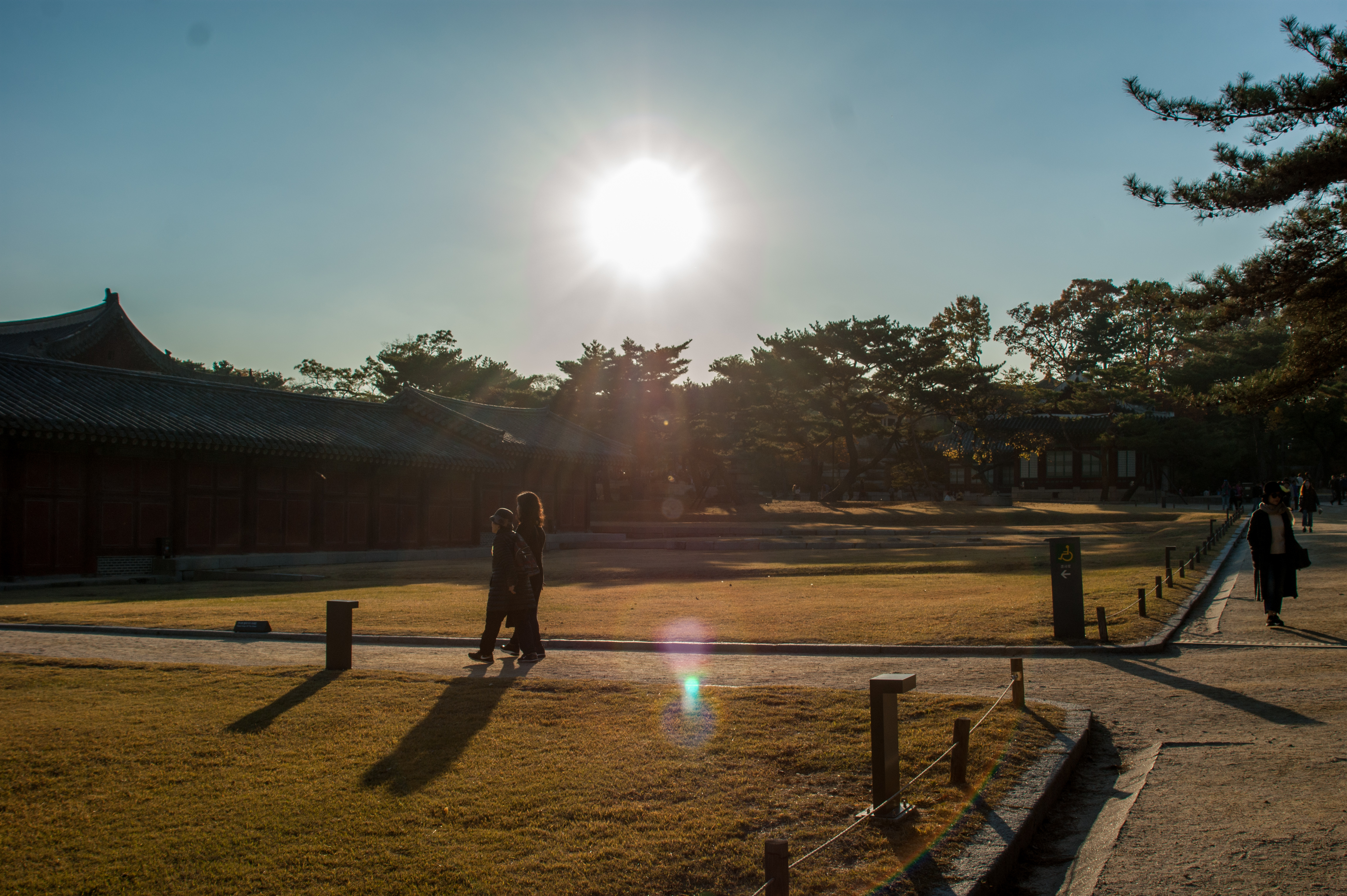 DSC00215.jpg