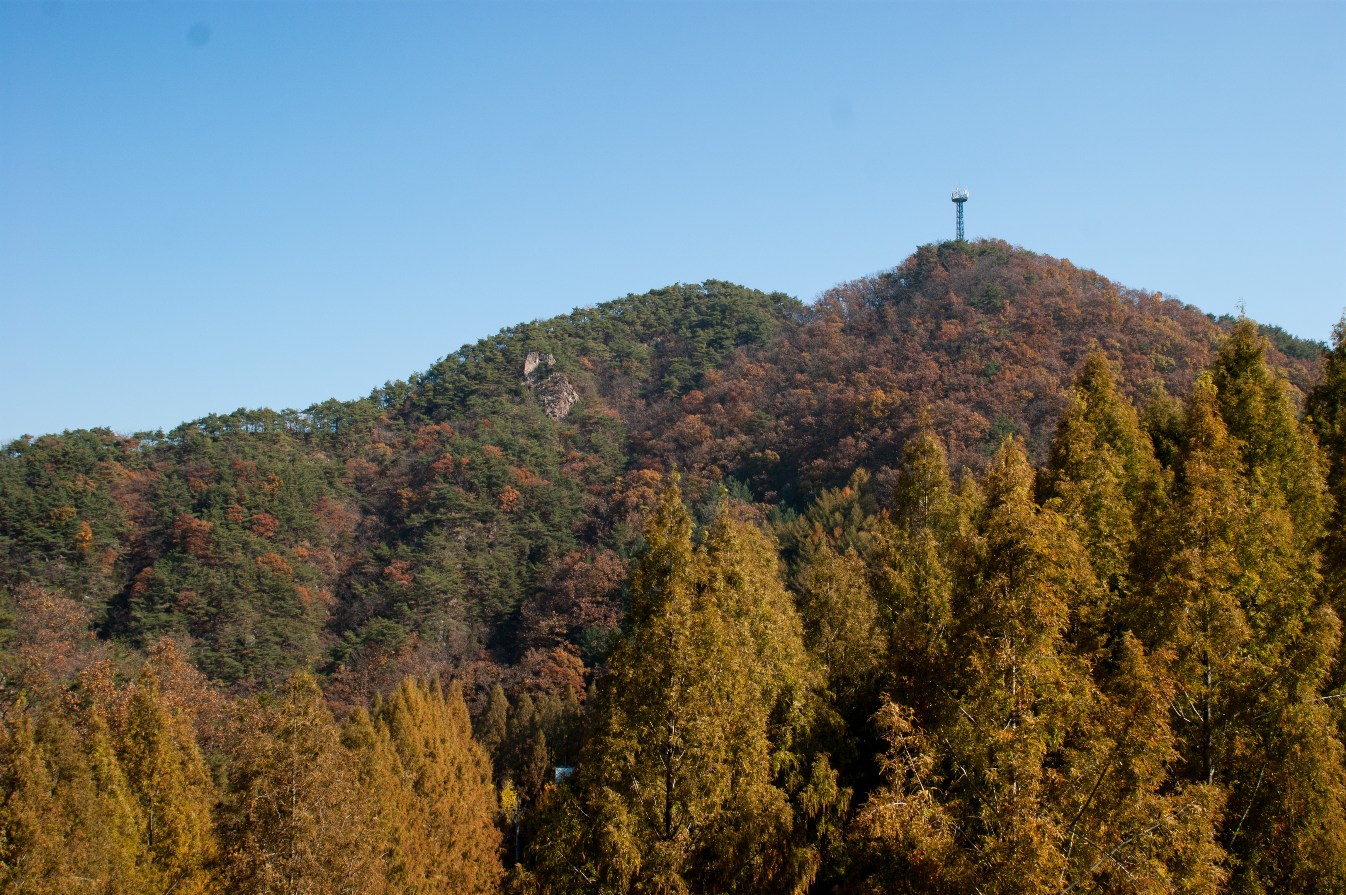DSC00072.jpg