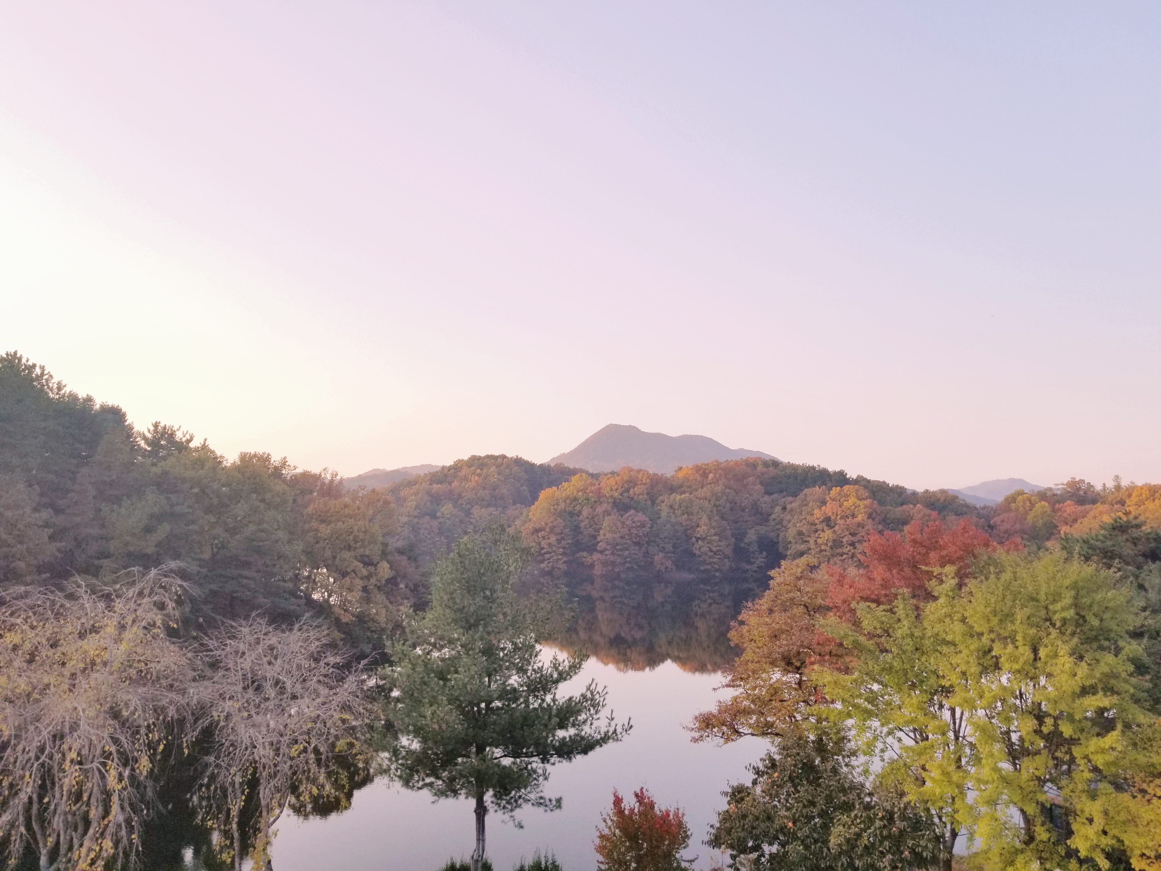 20181102_215839.jpg