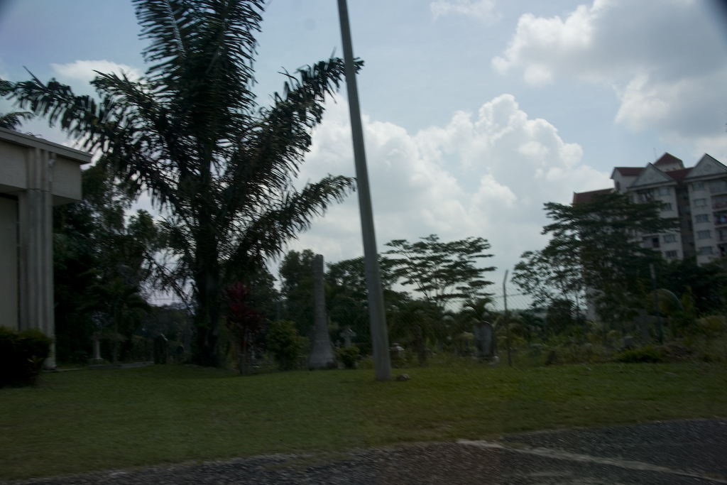 dsc06910.jpg