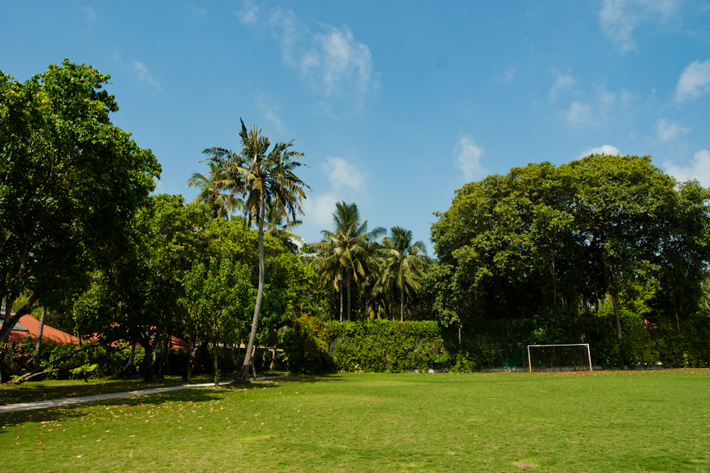 DSC01917.jpg