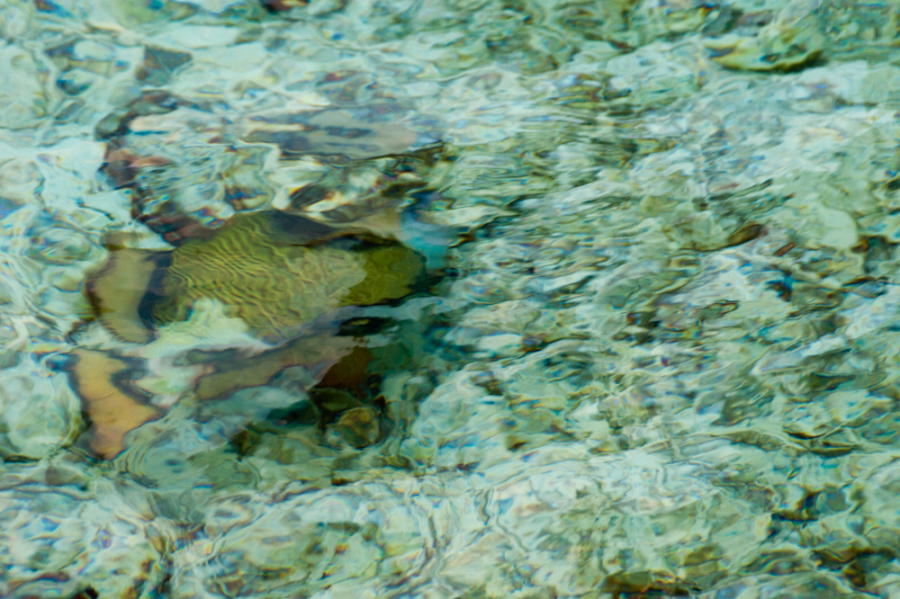 DSC02084.jpg