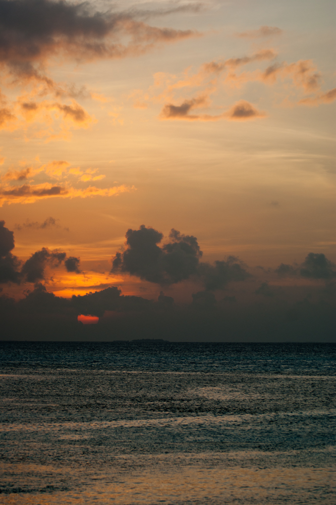 DSC02118.jpg