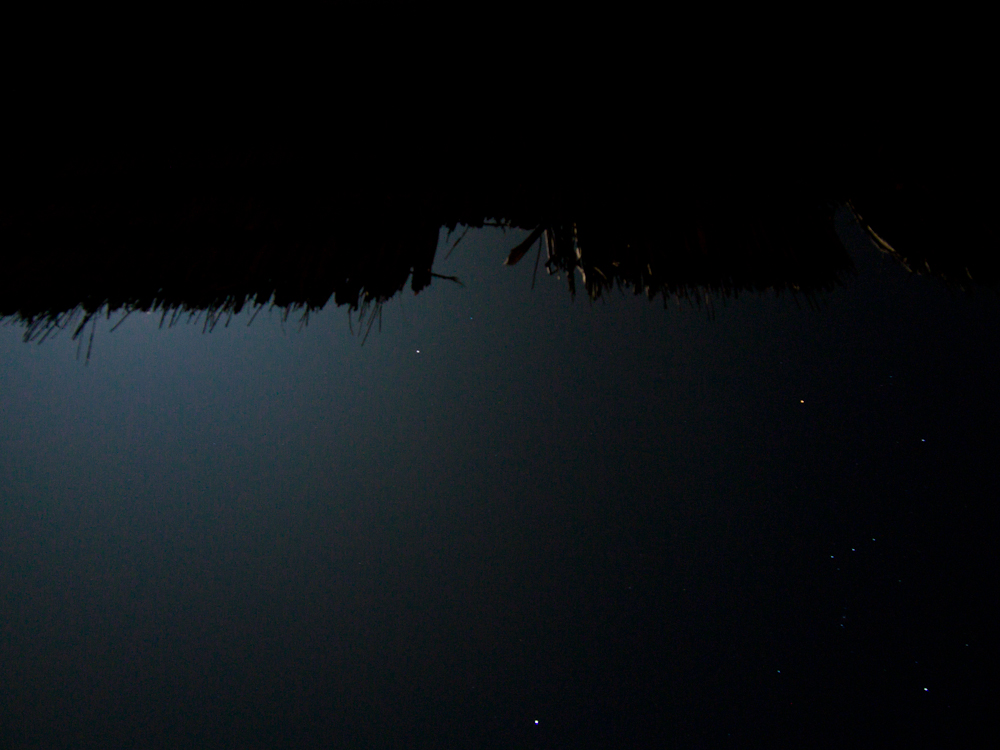 P2081548.jpg