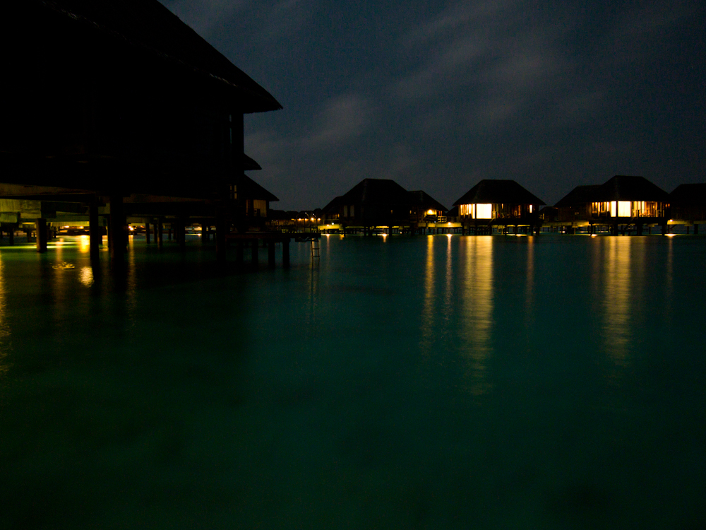 P2081550.jpg