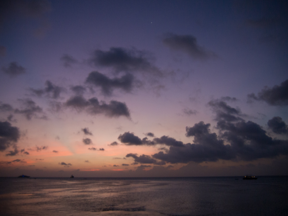 P2081575.jpg