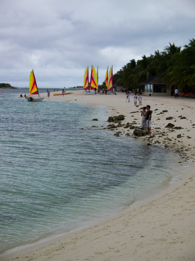 P2101673.jpg