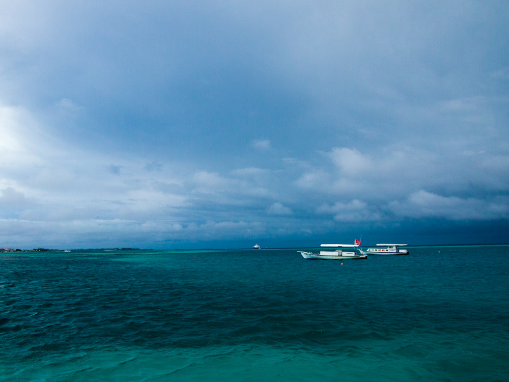 P2101683.jpg
