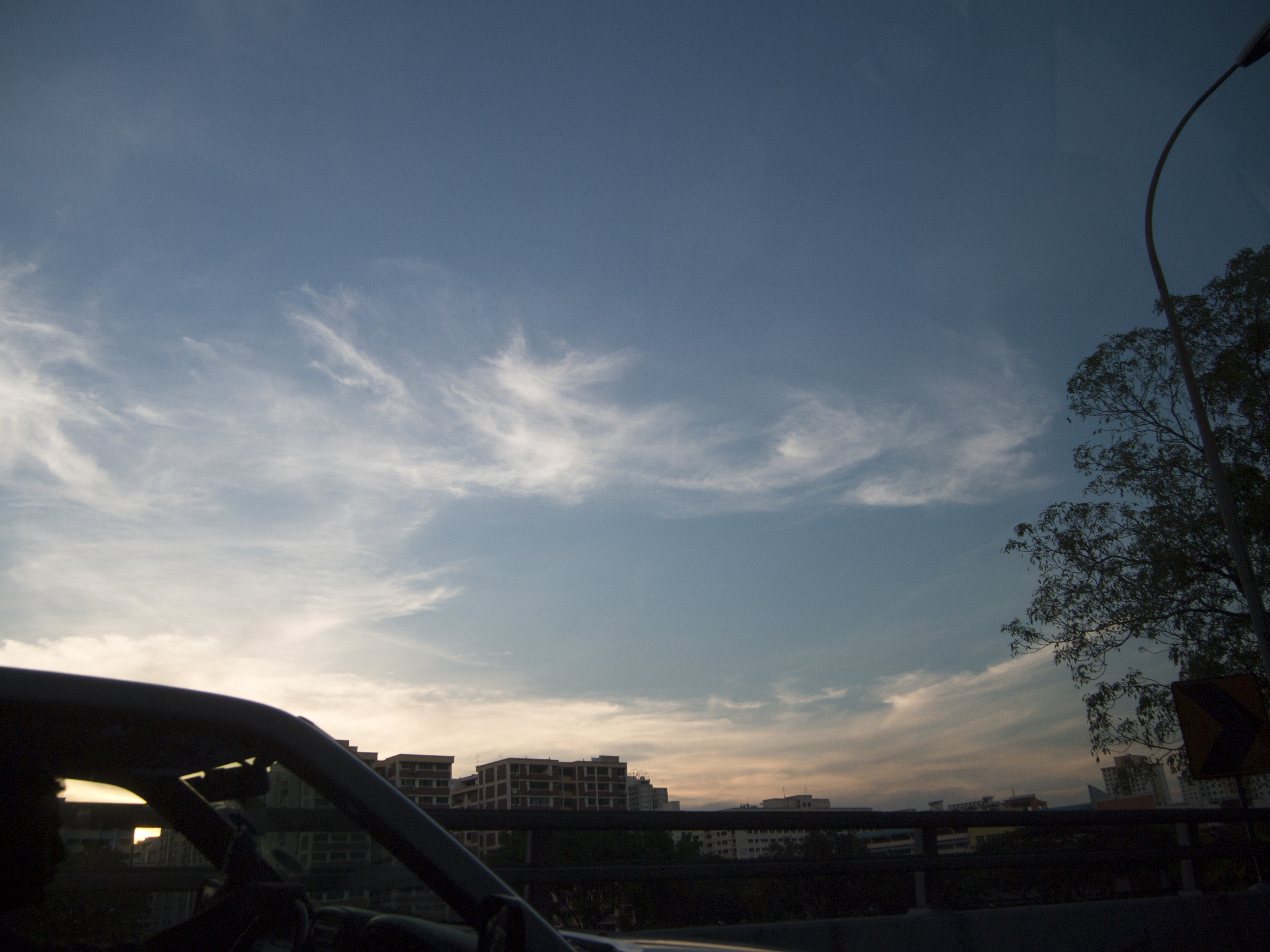 P4281173.jpg